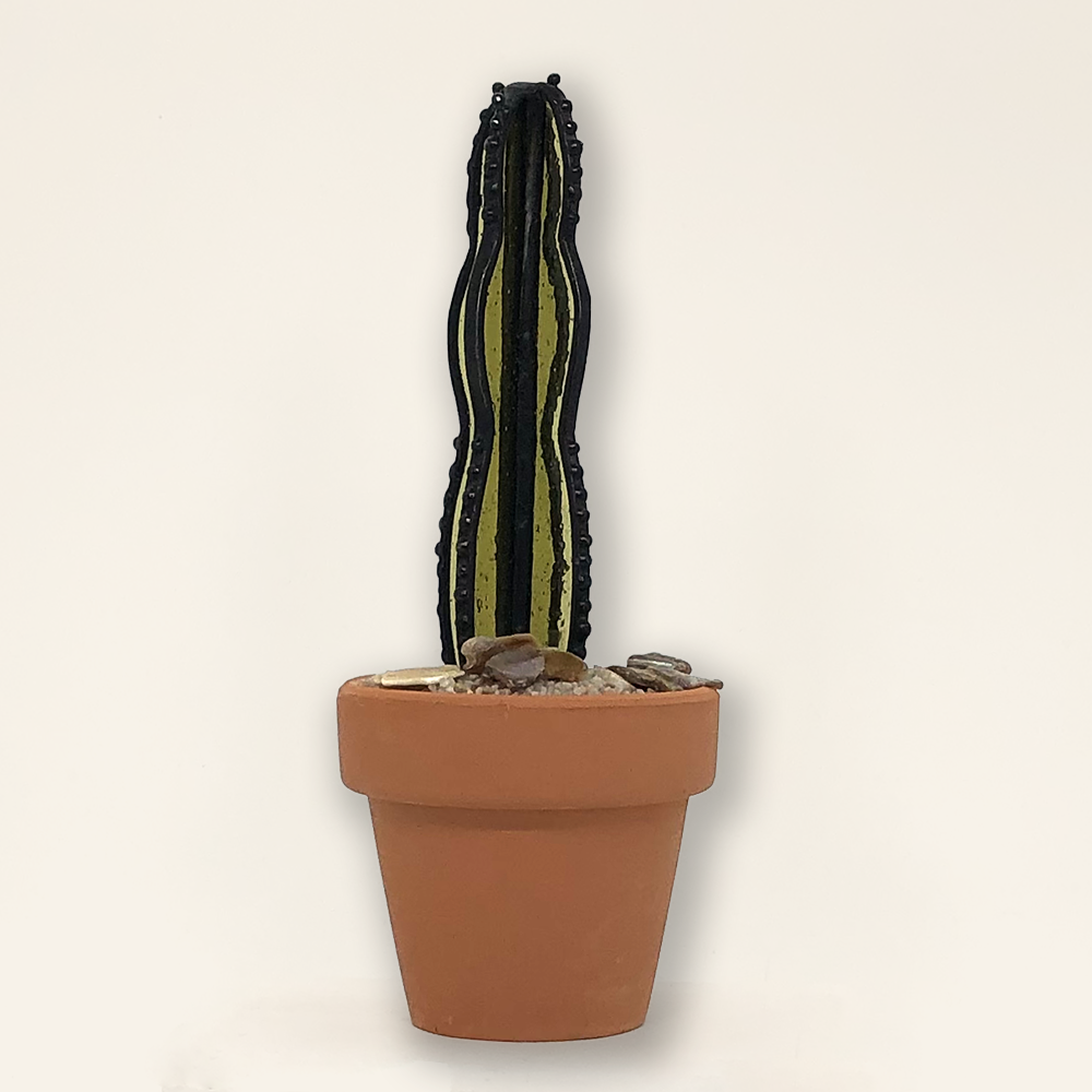Contemporary+Cactus8 copy.webp