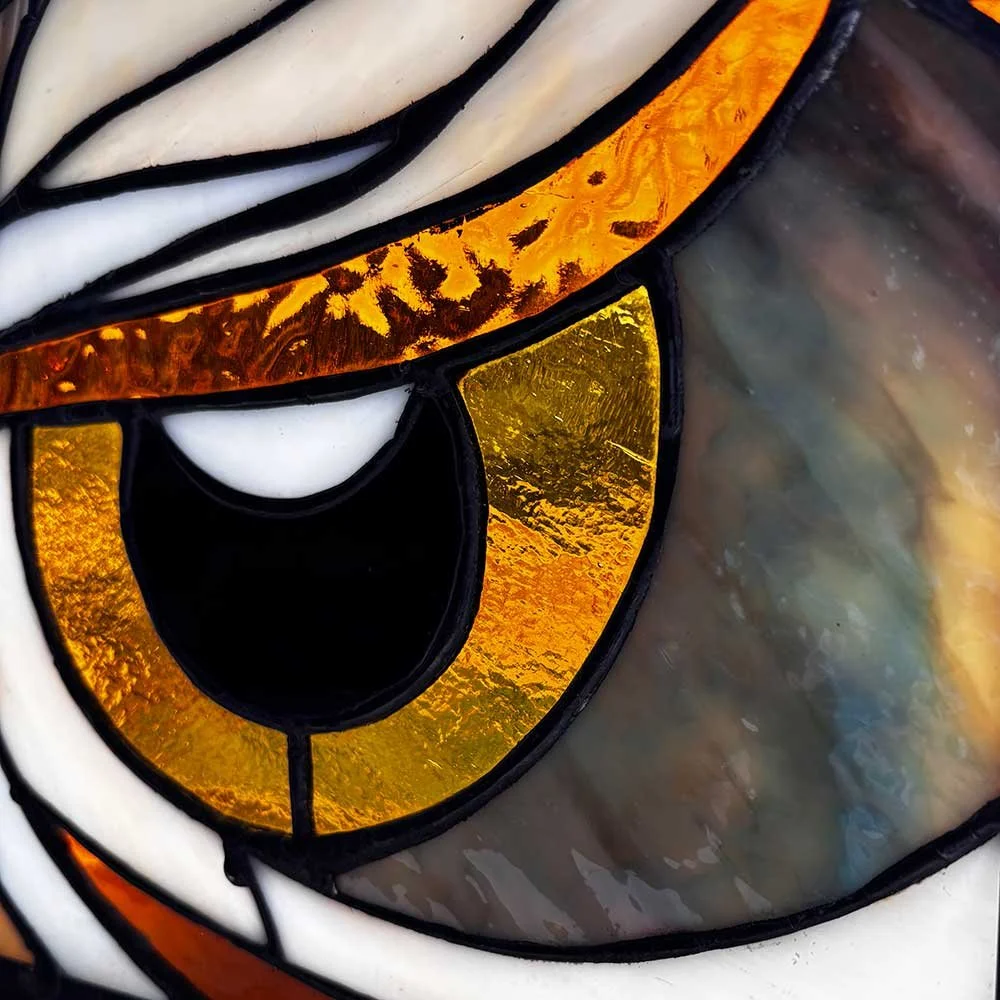 Owl Eyes1.jpeg