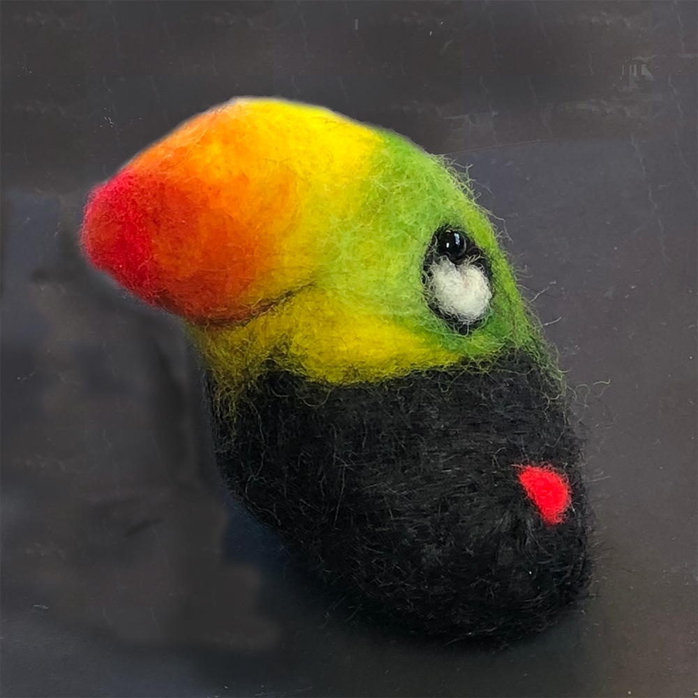 Diego the Costa Rican Toucan