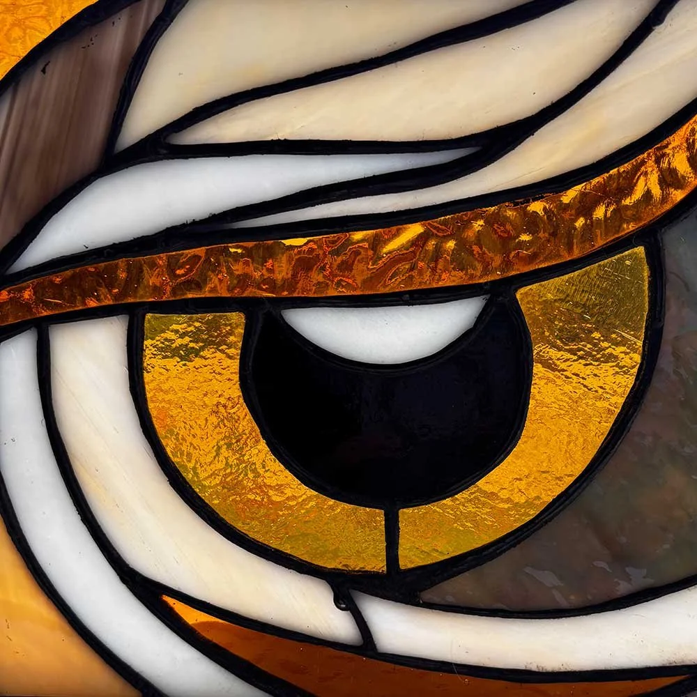 Owl Eyes2.jpeg