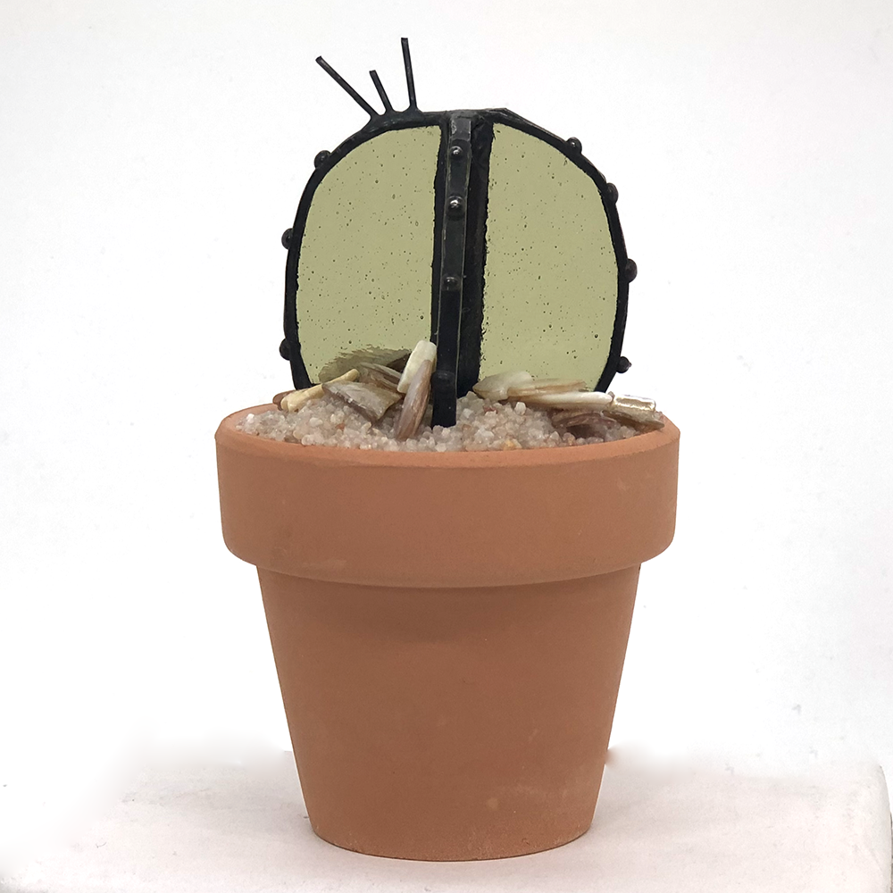 Contemporary Cactus2.png