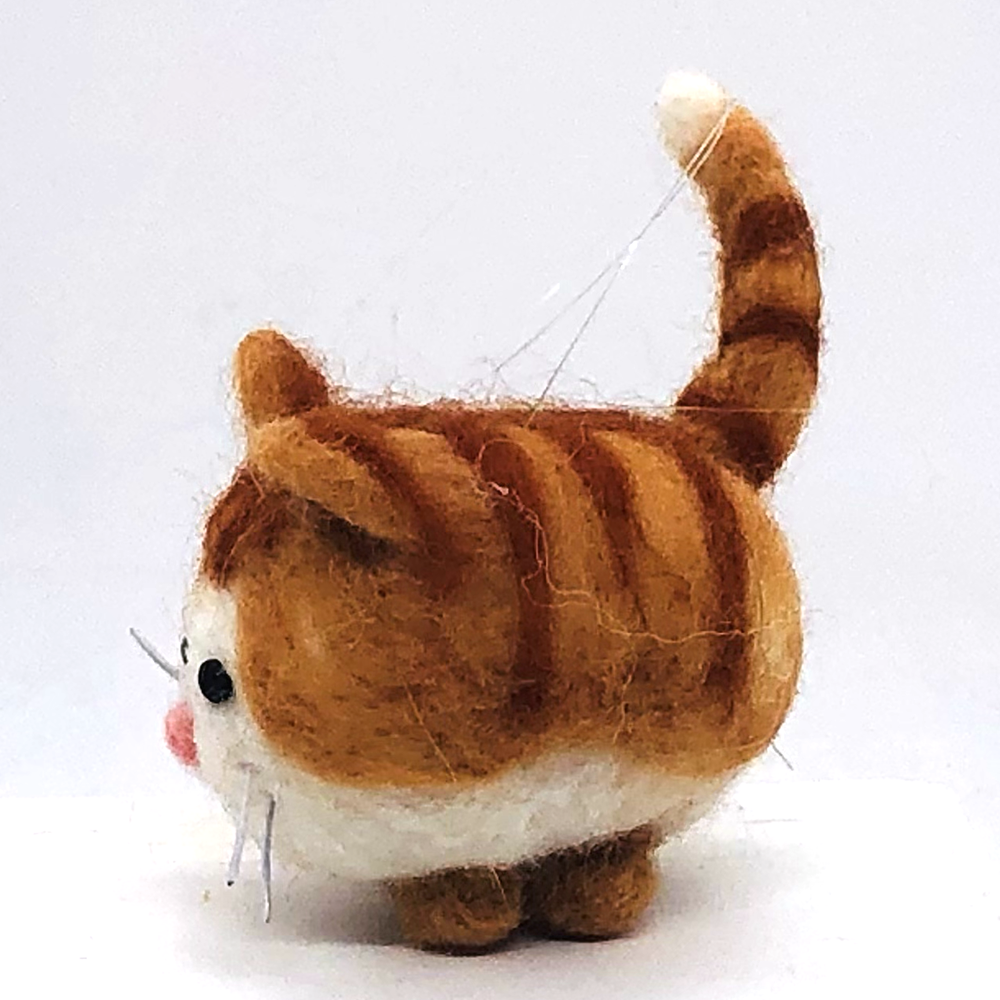 Moe the Ginger Tabby-03.webp