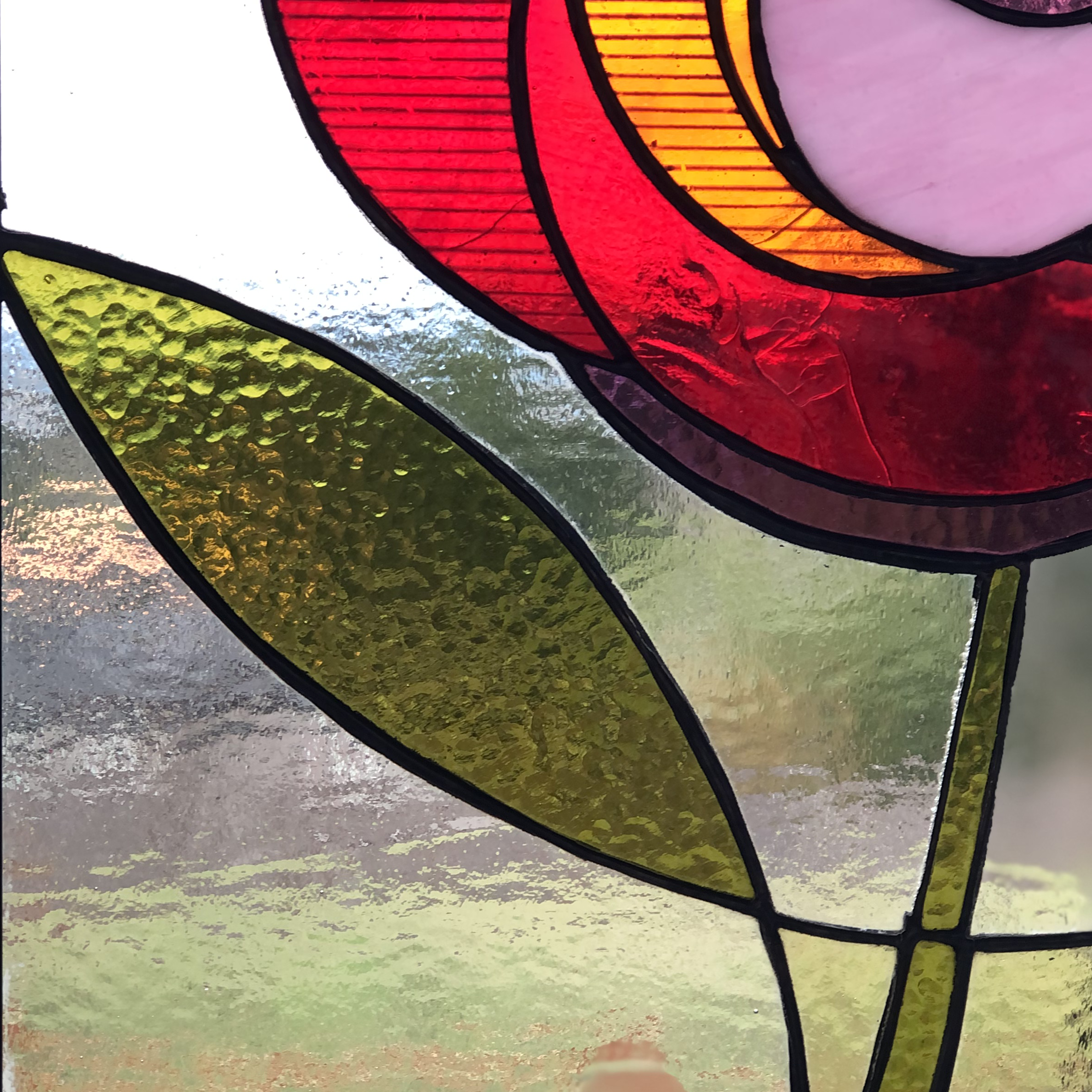 Rosemoore Flower Show2.png