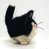 Sputnik the Tuxedo Cat-04.png