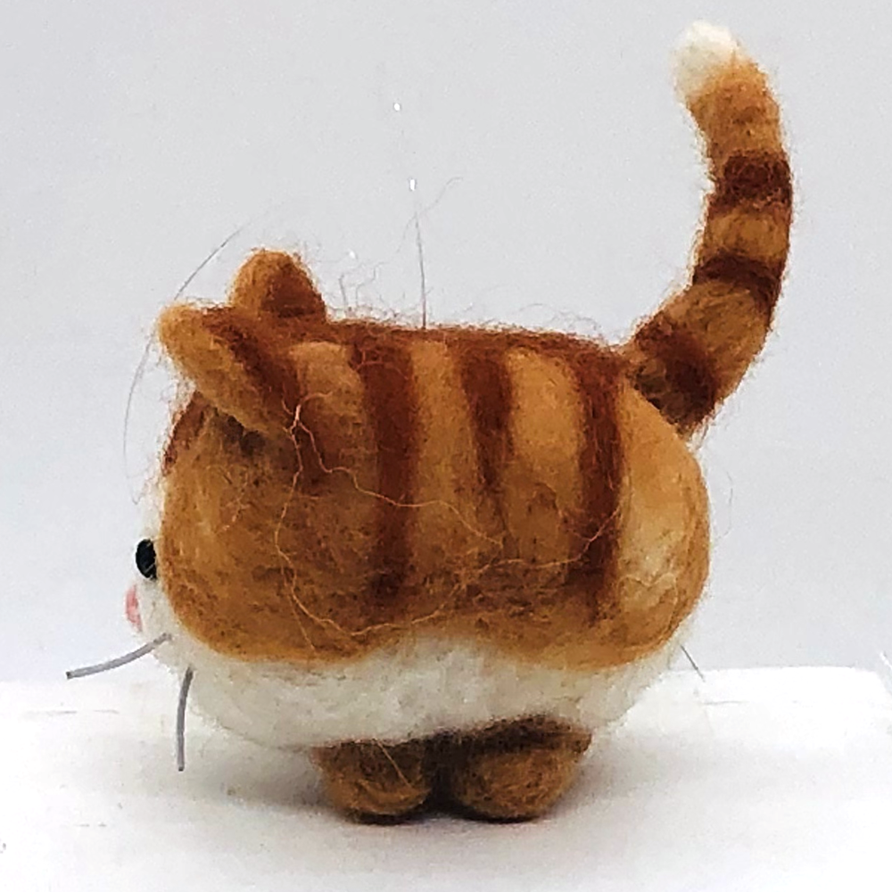 Moe the Ginger Tabby-04.webp