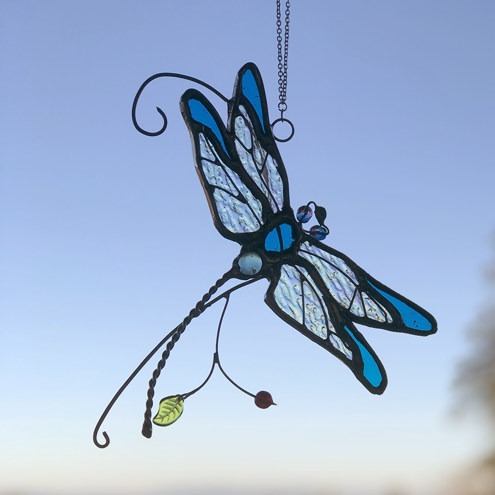 Summer Dragonfly