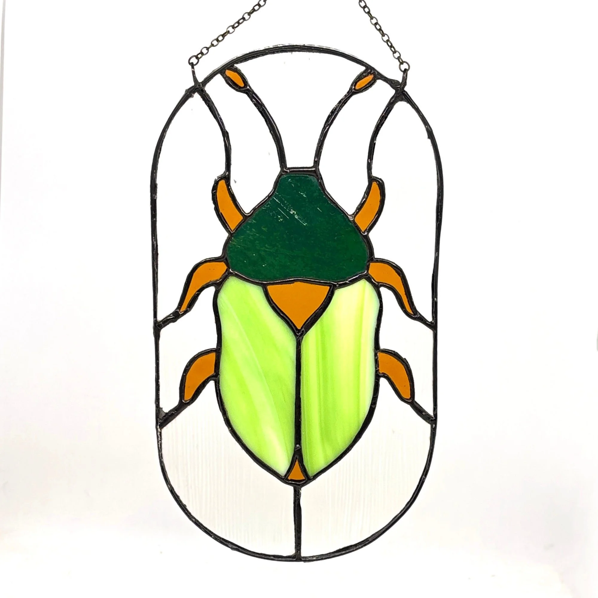 Garden Beetle1.jpeg