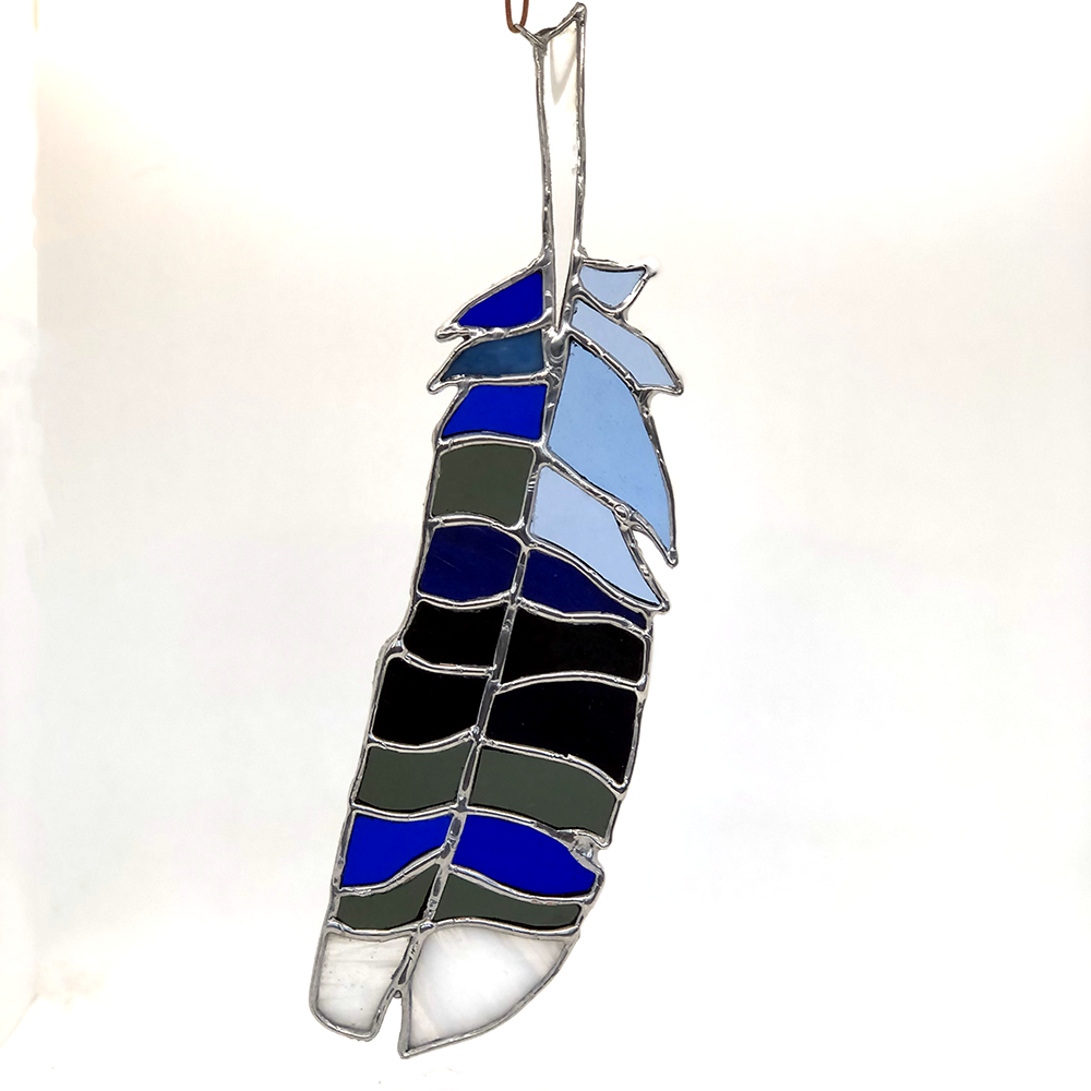 Blue Jay Feather