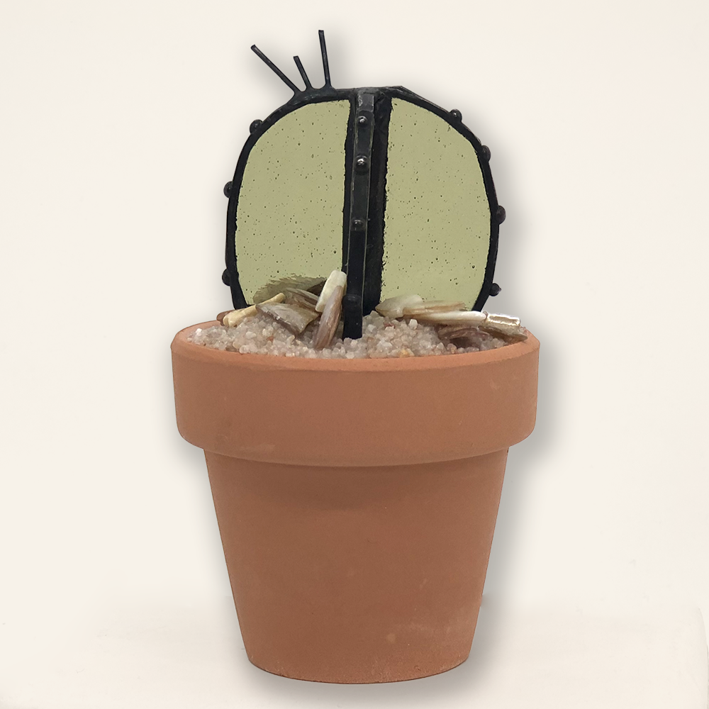 Contemporary+Cactus2 .webp