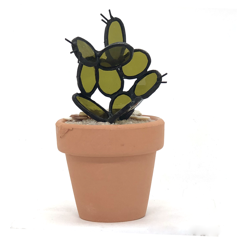 Contemporary Cactus5.png