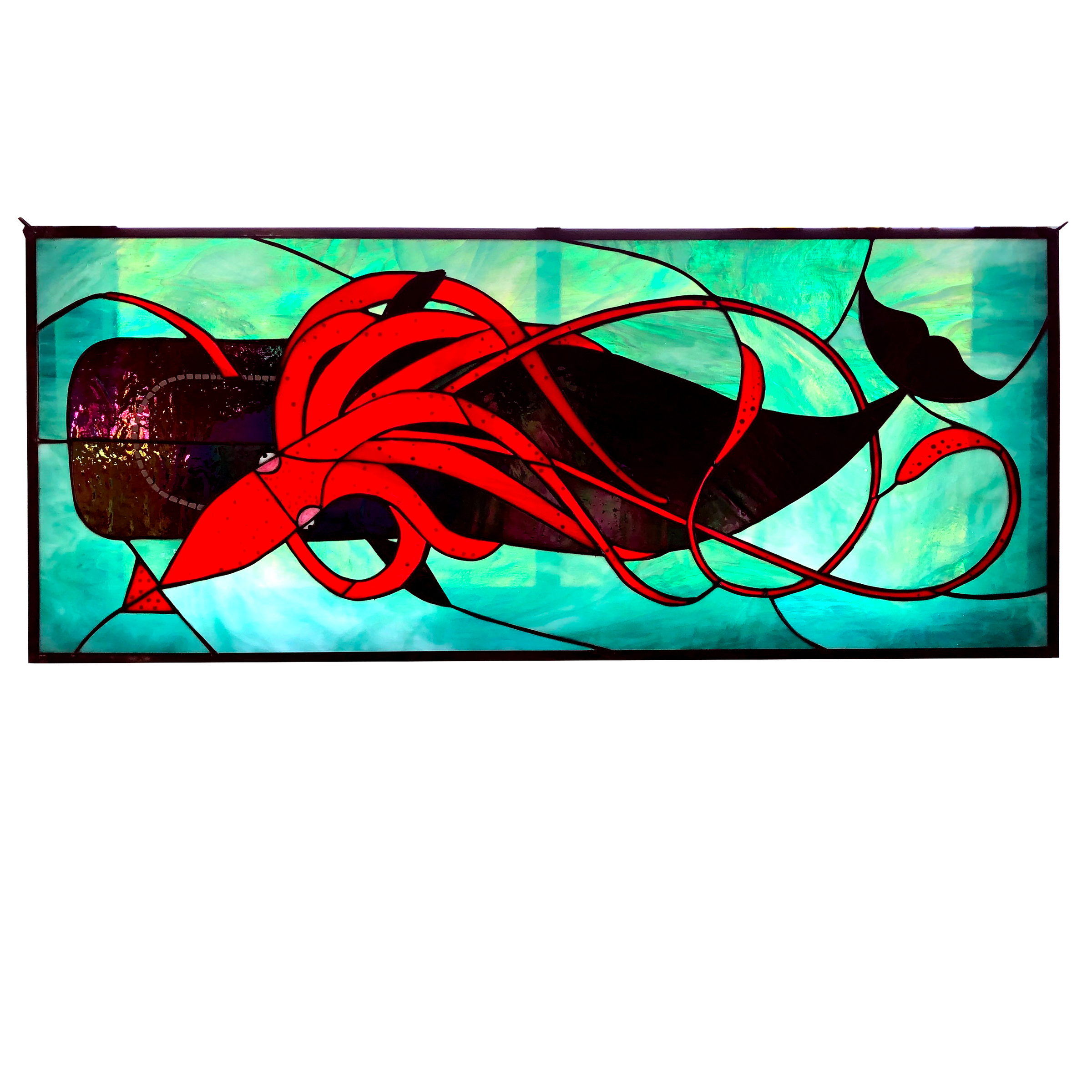Whale v. Squid