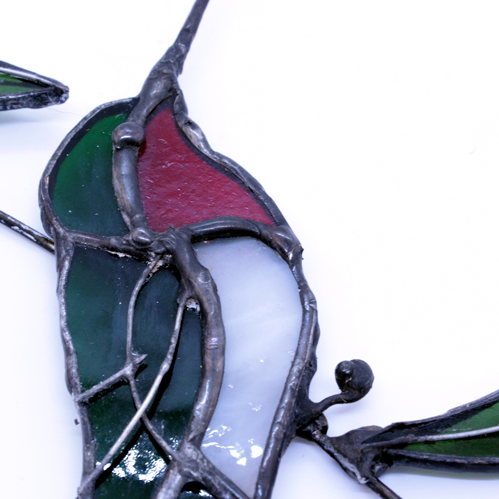 Hummingbird in Eucalyptus1.png