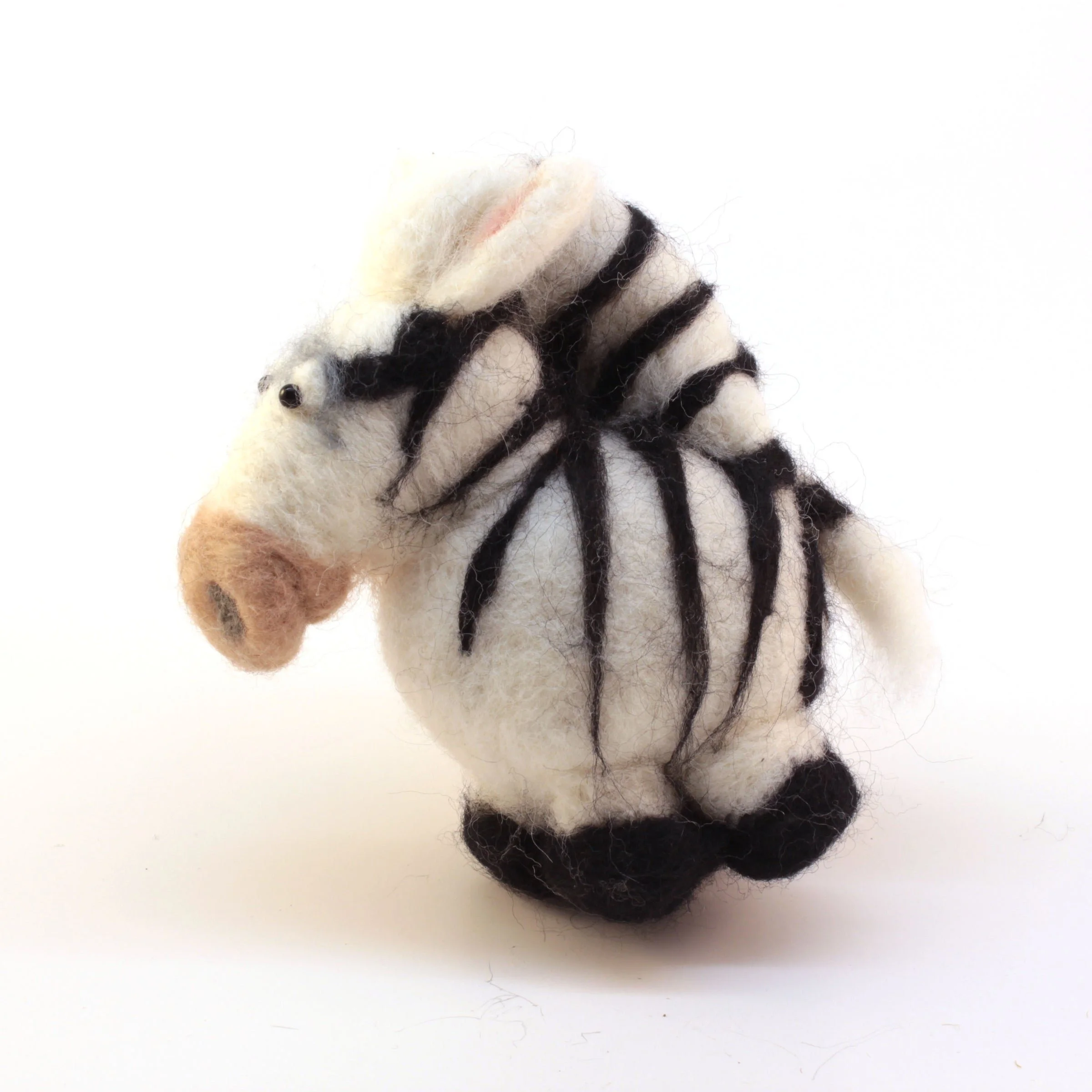 Arno The Zebra
