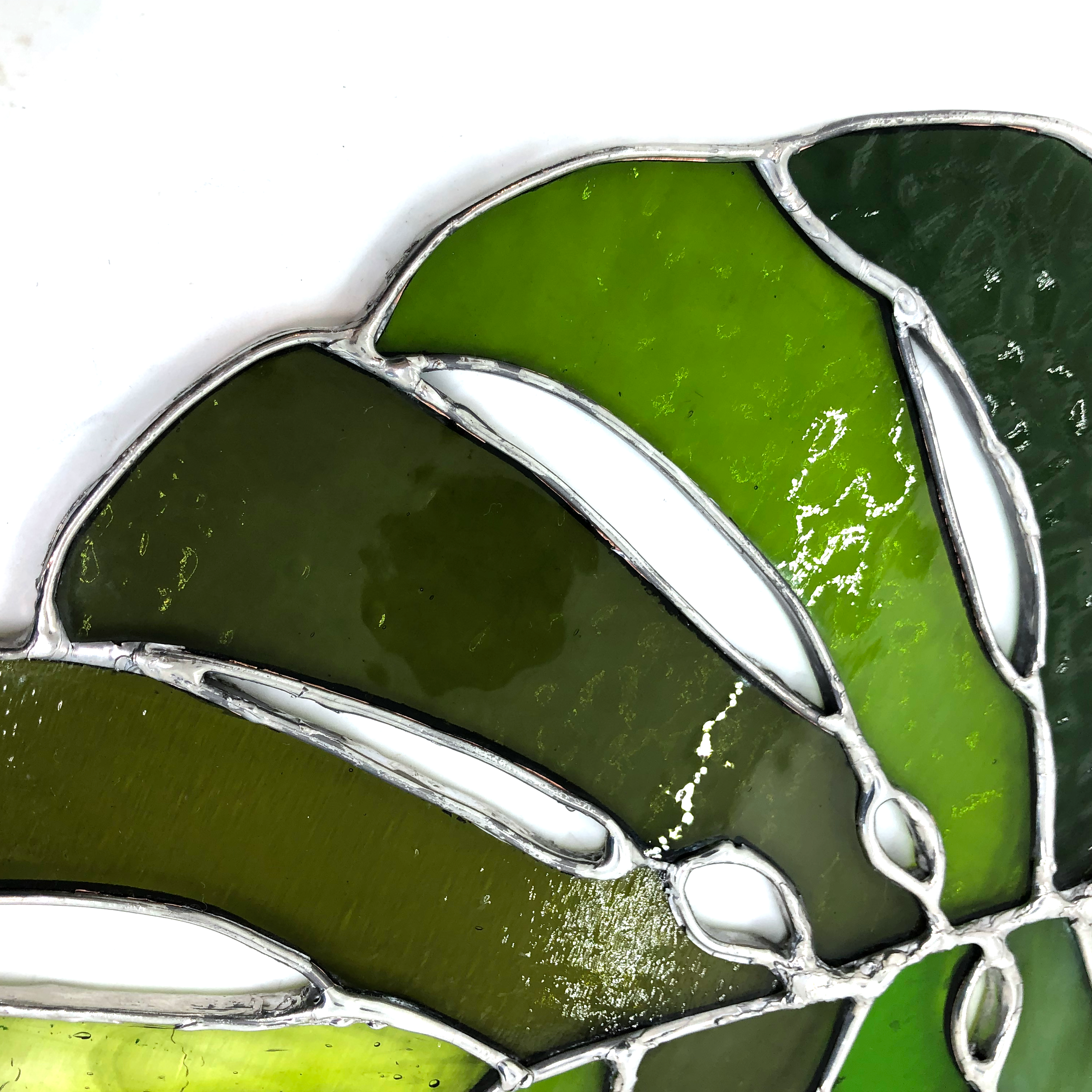 Monstera Leaf2.png