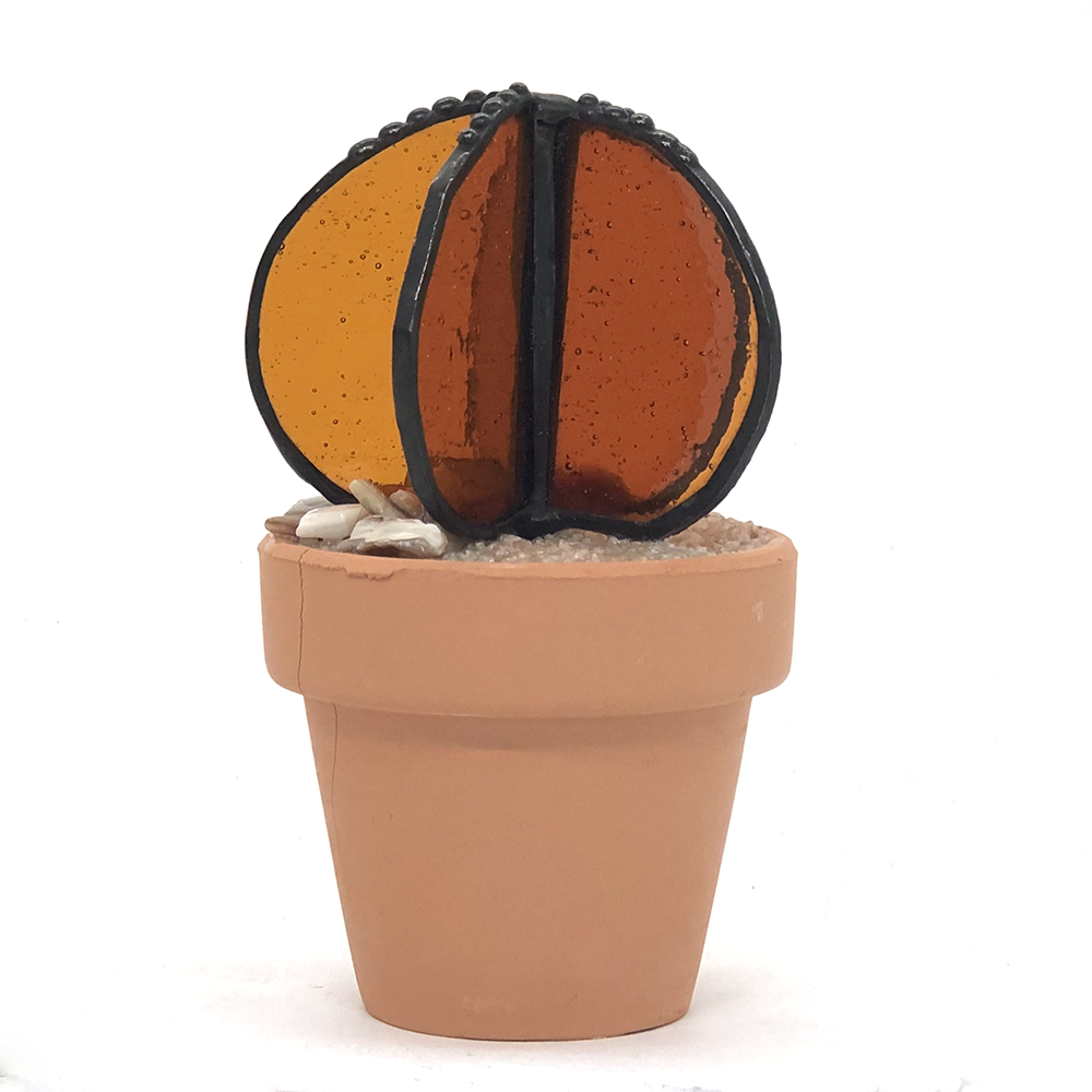 Contemporary Cactus7.png