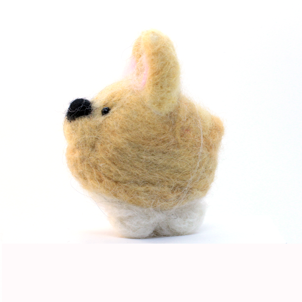 Jackson The Welsh Corgi-03.webp