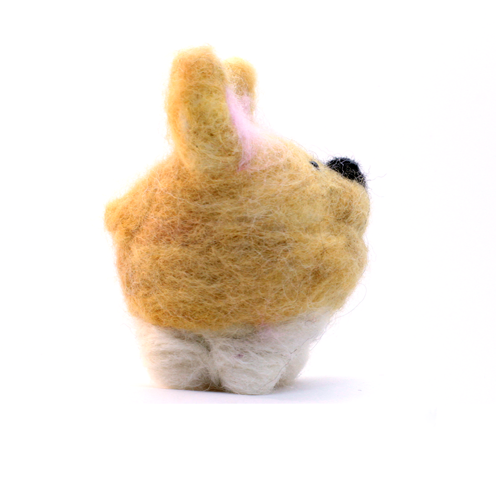 Jackson The Welsh Corgi-02.webp