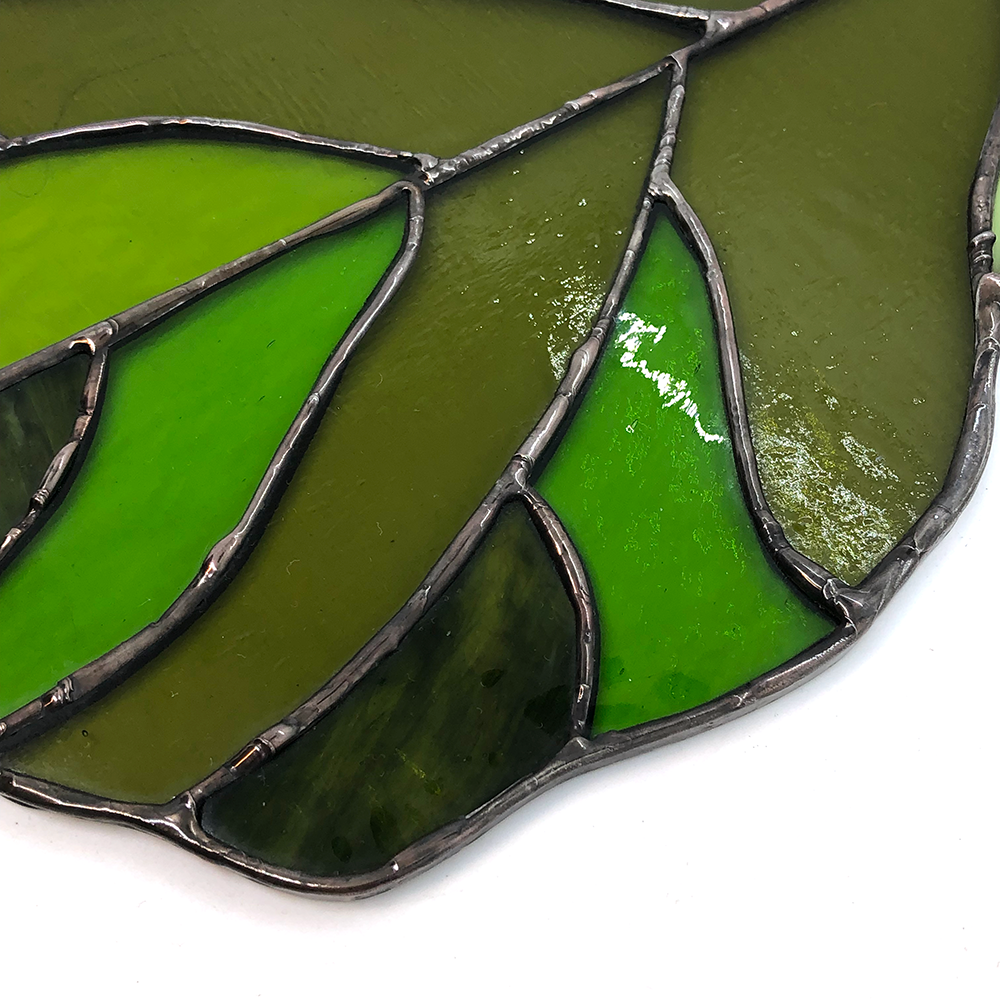 Fiddle Leaf2.png