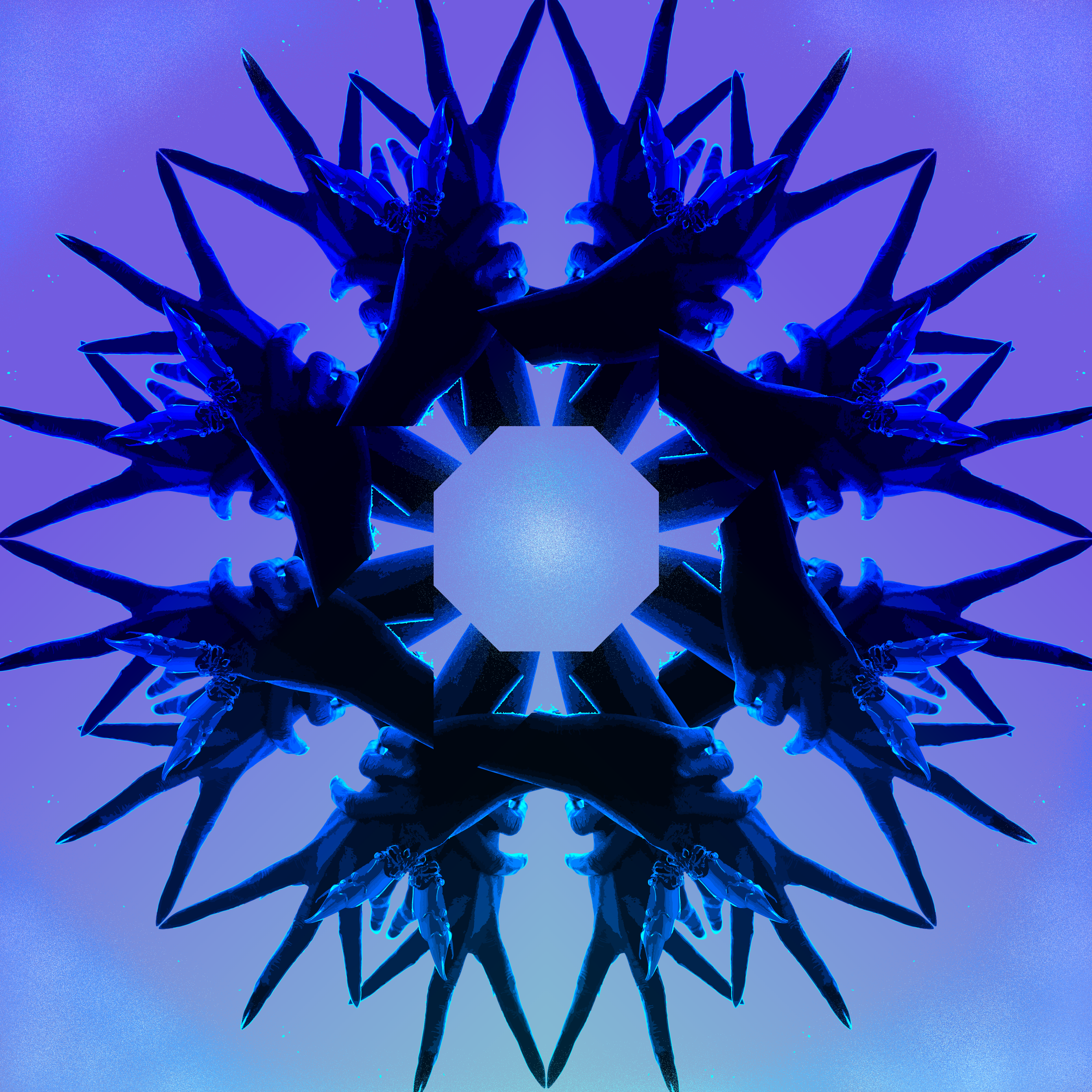 vector 6 copy.png