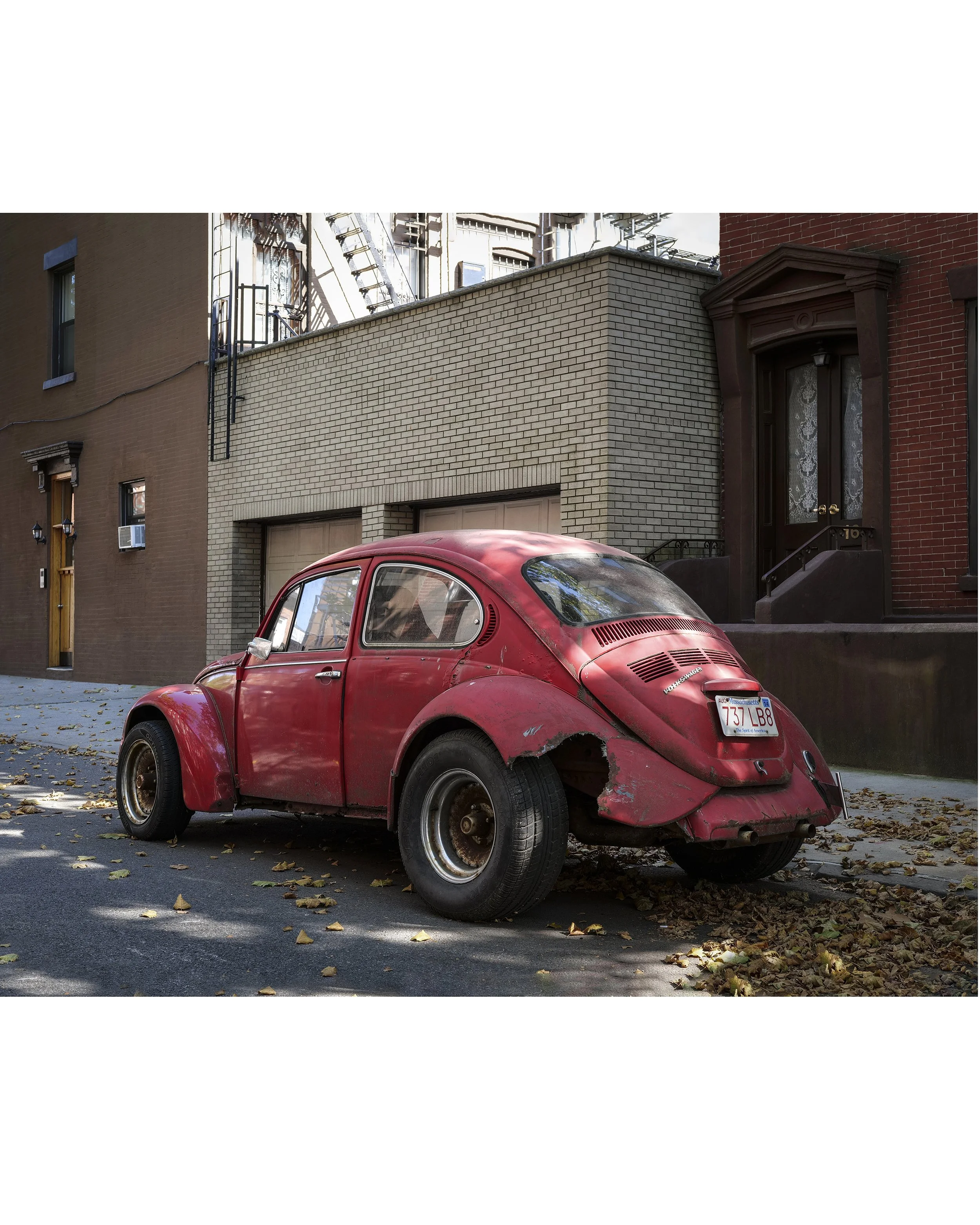 VW Beetle - Brooklyn, New York