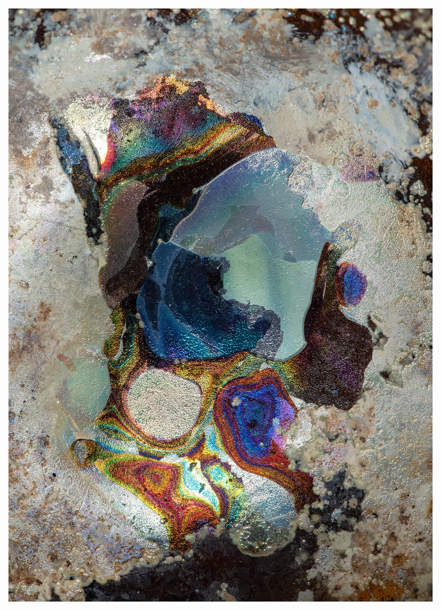 iridescent copy.jpg