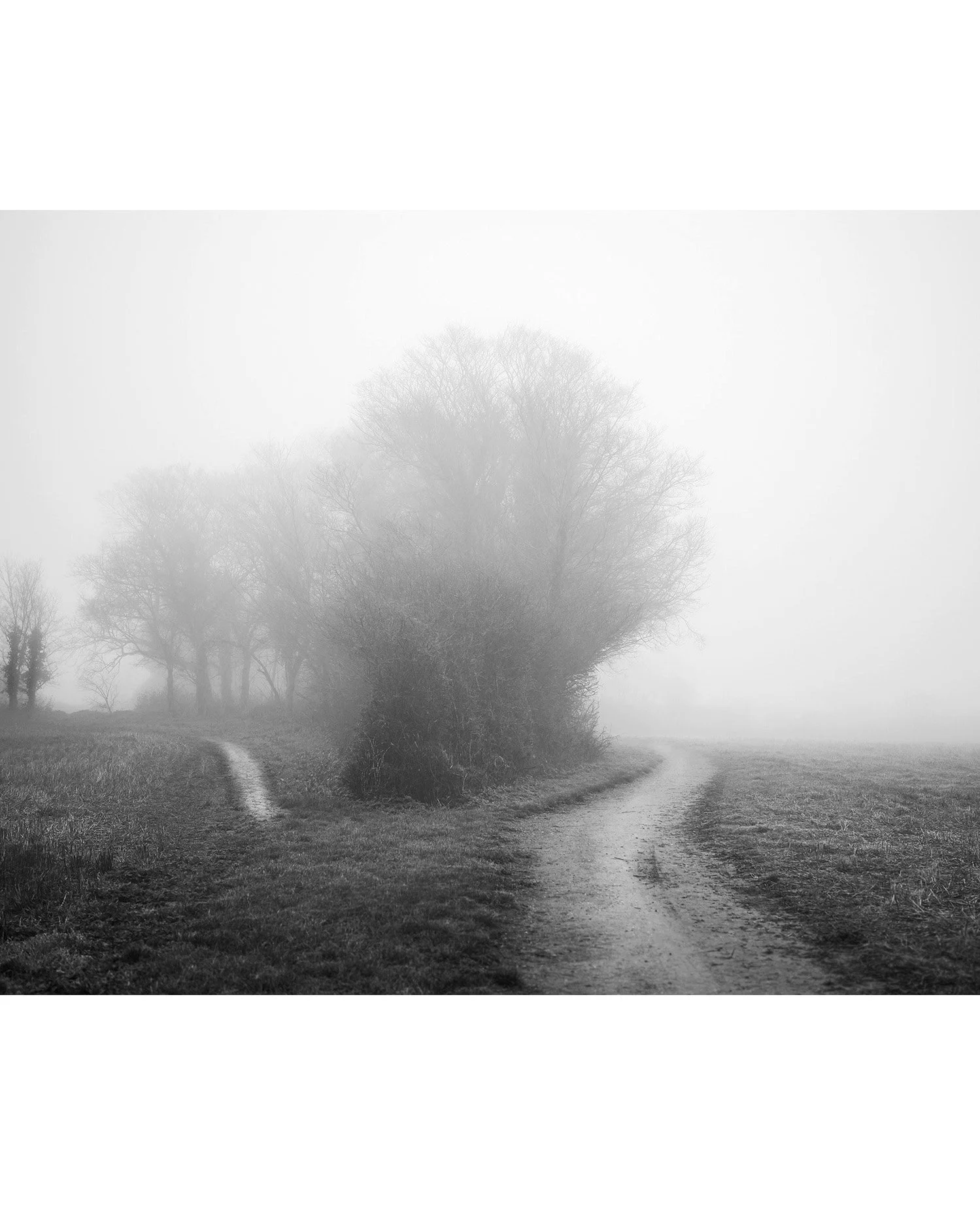 Two Tracks In The Fog