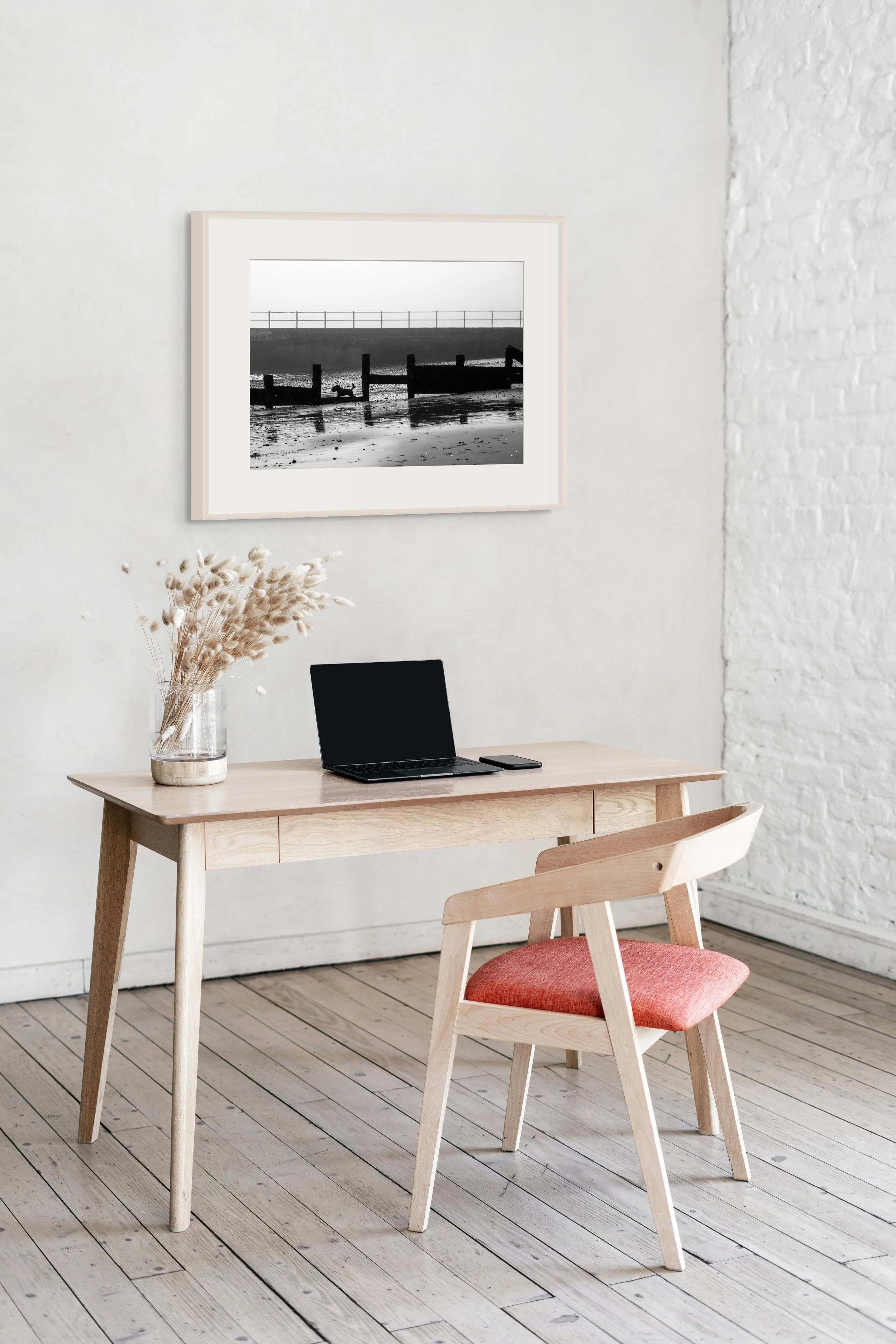 beach_dog_room.jpg