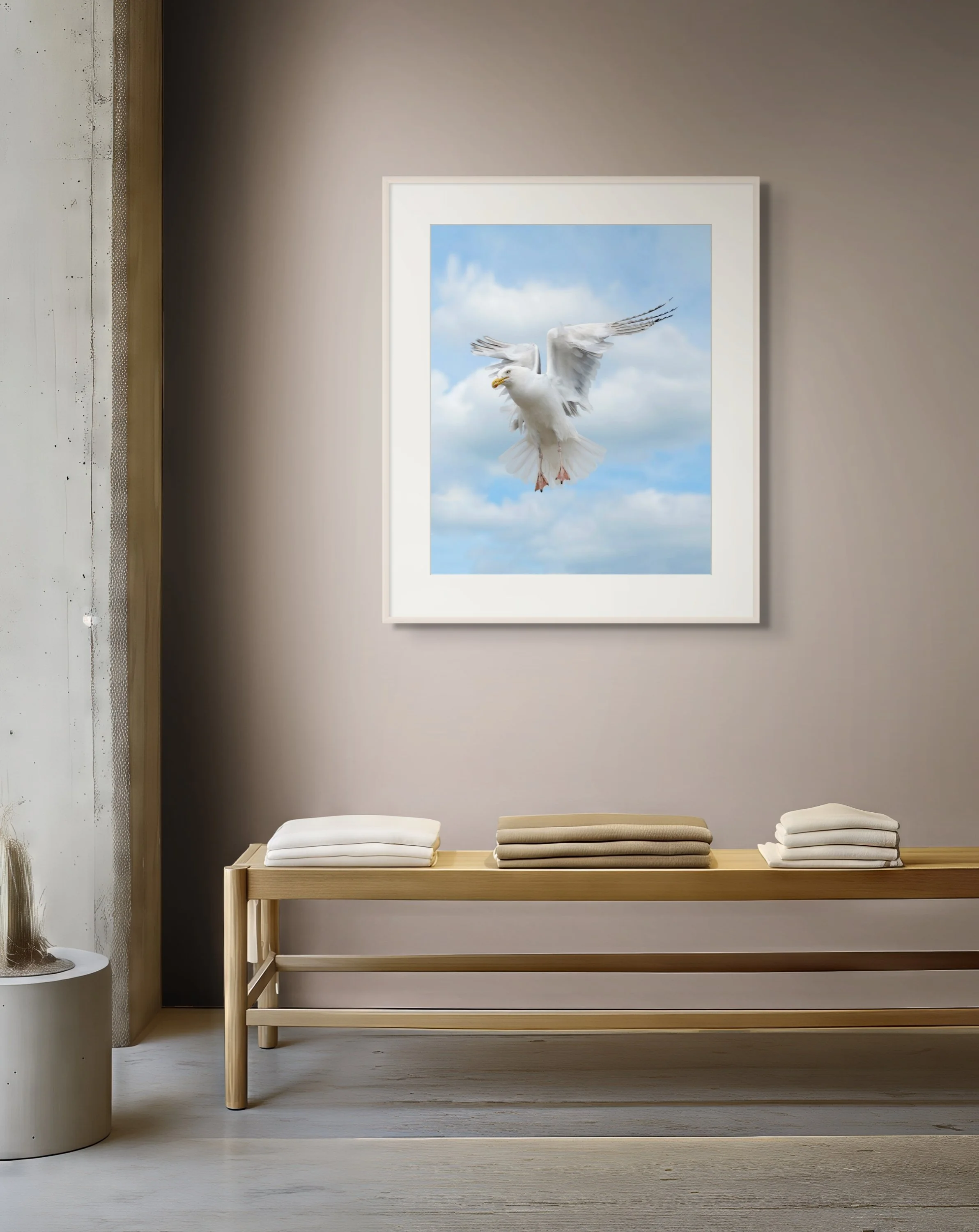 seagul_01.jpg