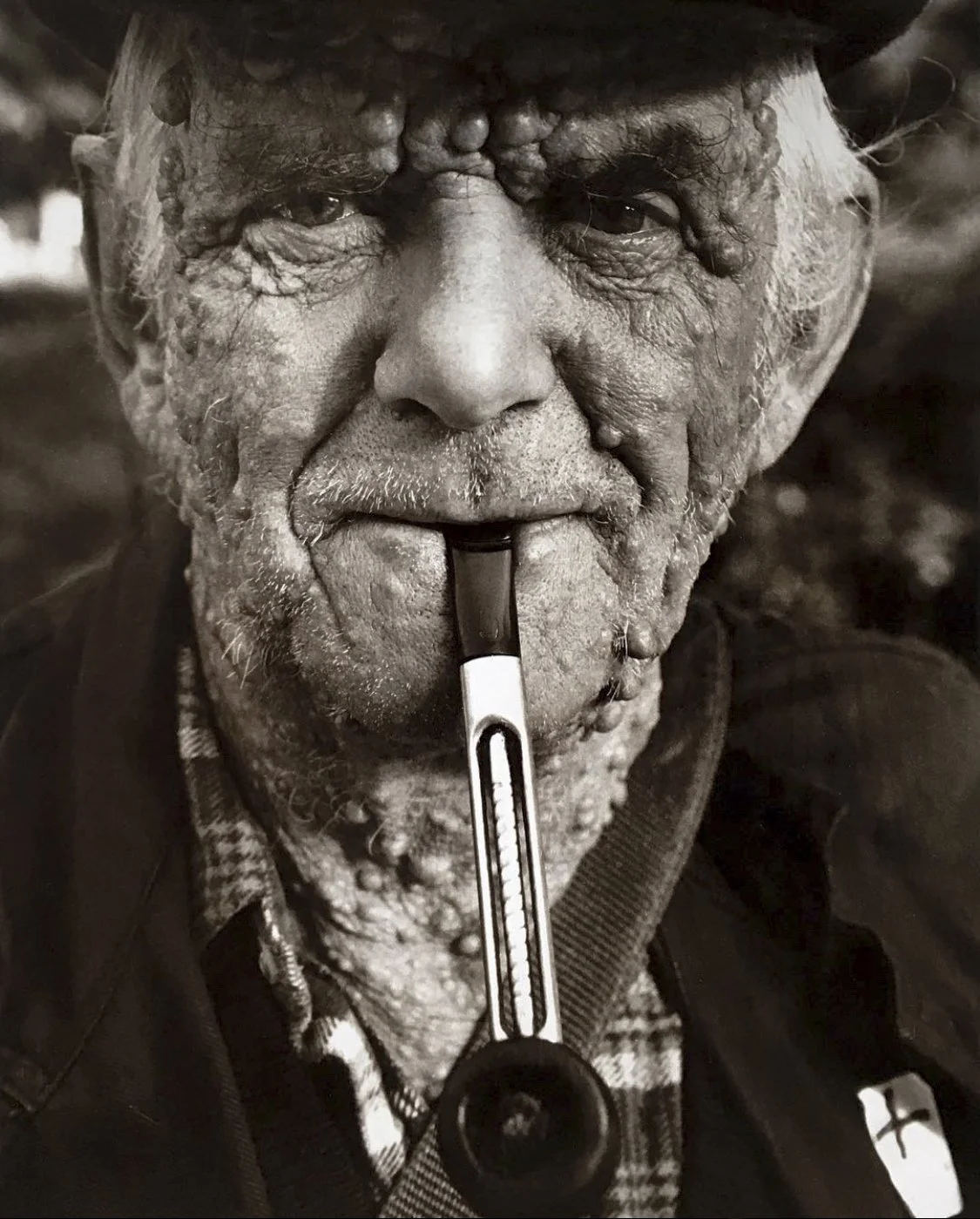 old man Dorset.jpg