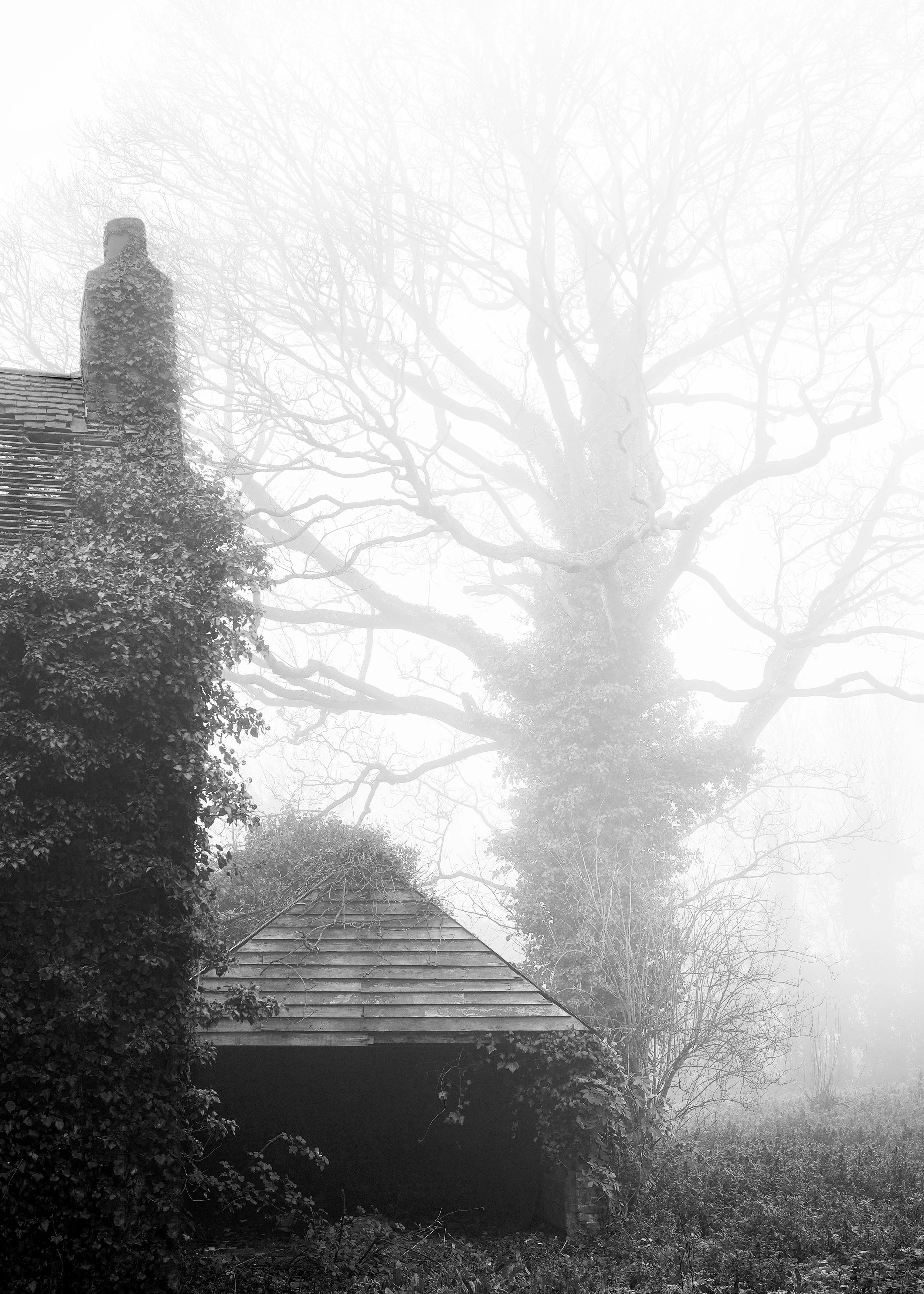 Abandoned House In The Fog