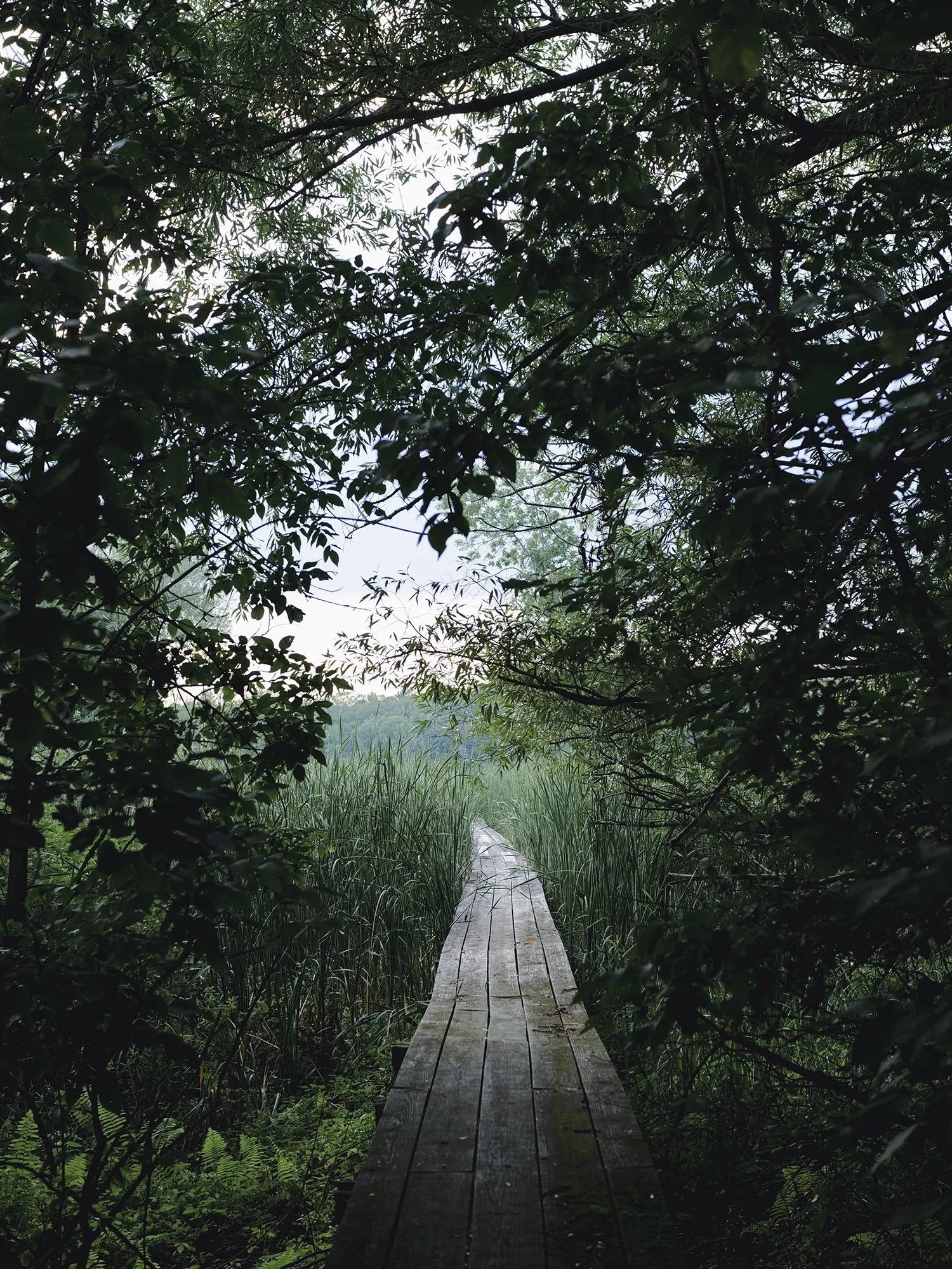 Boardwalk, Thousand Islands