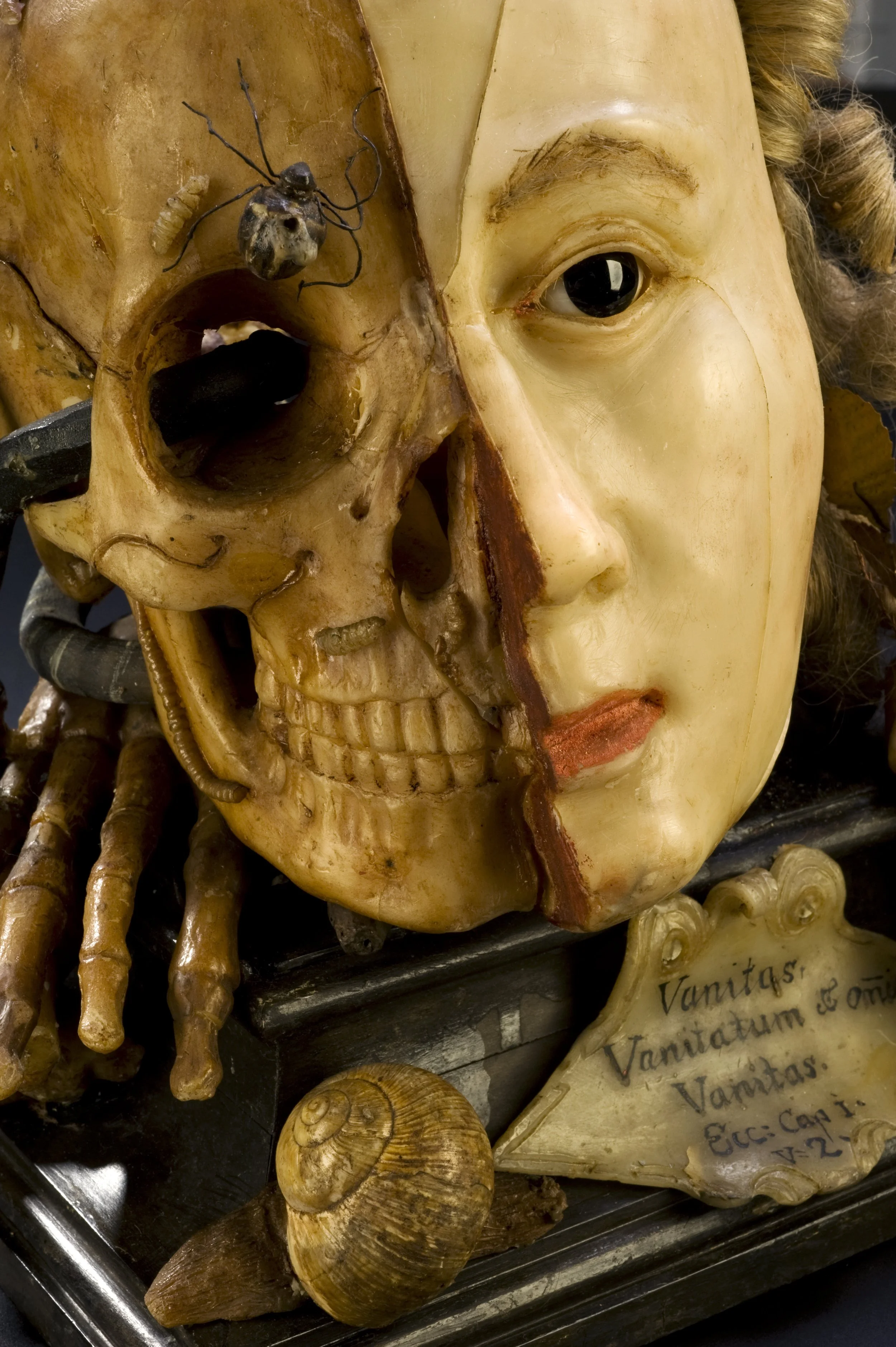 A99821_(0006).jpg