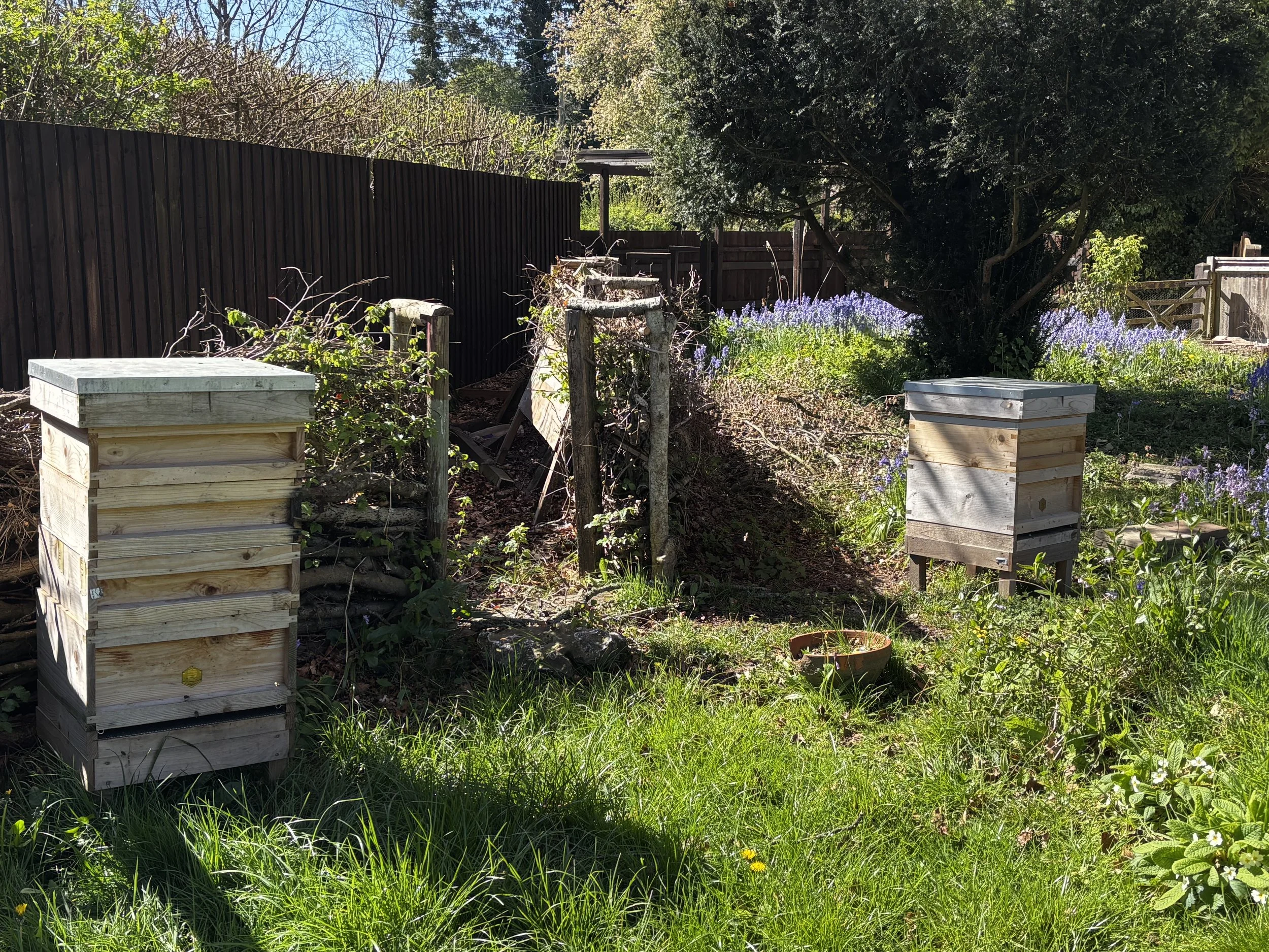 A backyard garden with flower beds, wooden bee hives, and trees, enclosed by a wooden fence.