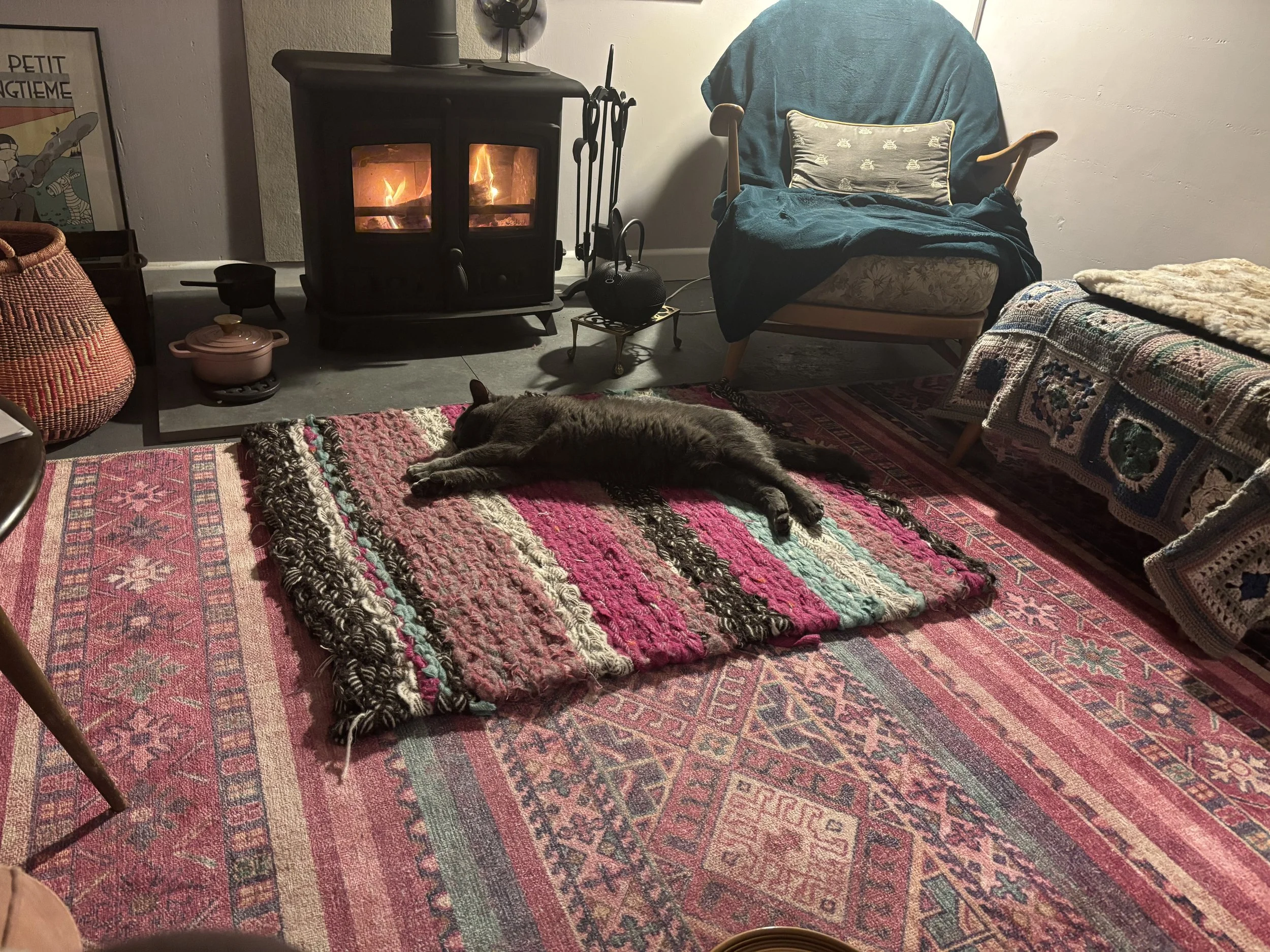 Sid can't get enough of the woodburner in the studio.