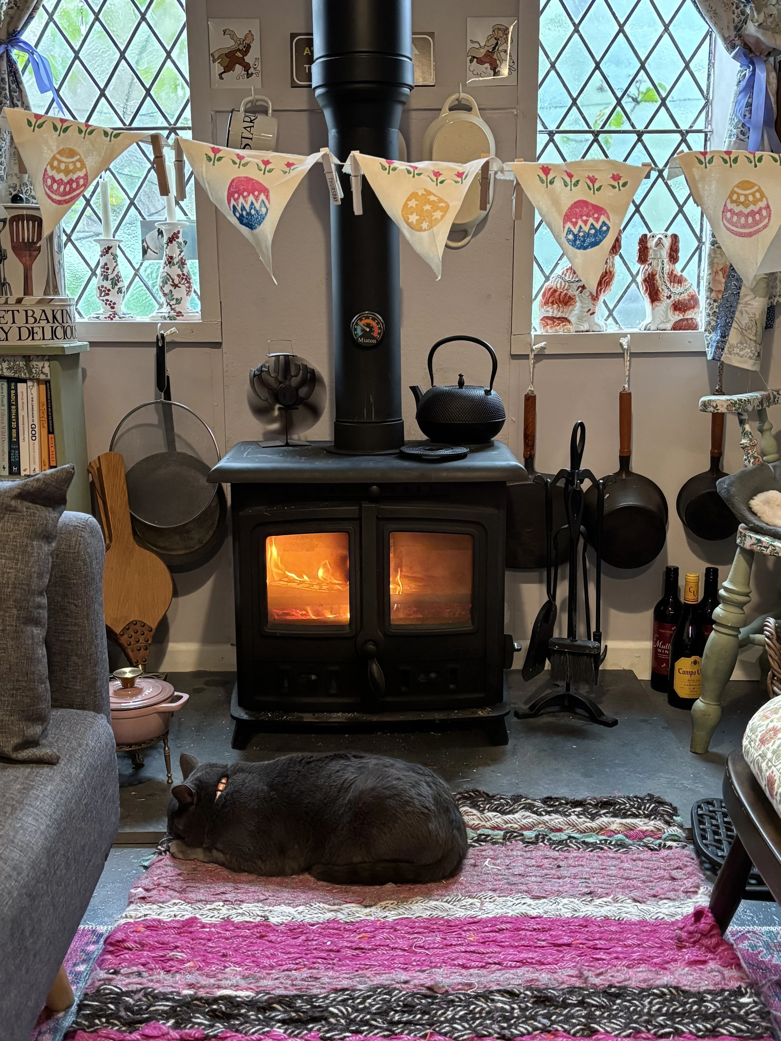 Sid Grayson the Hedgepig and Honey studio cat asleep by the woodburner in the studio