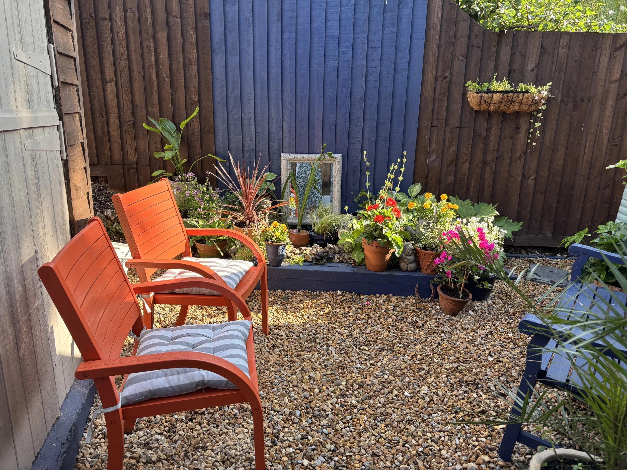 Our pretty courtyard garden outside the studio.