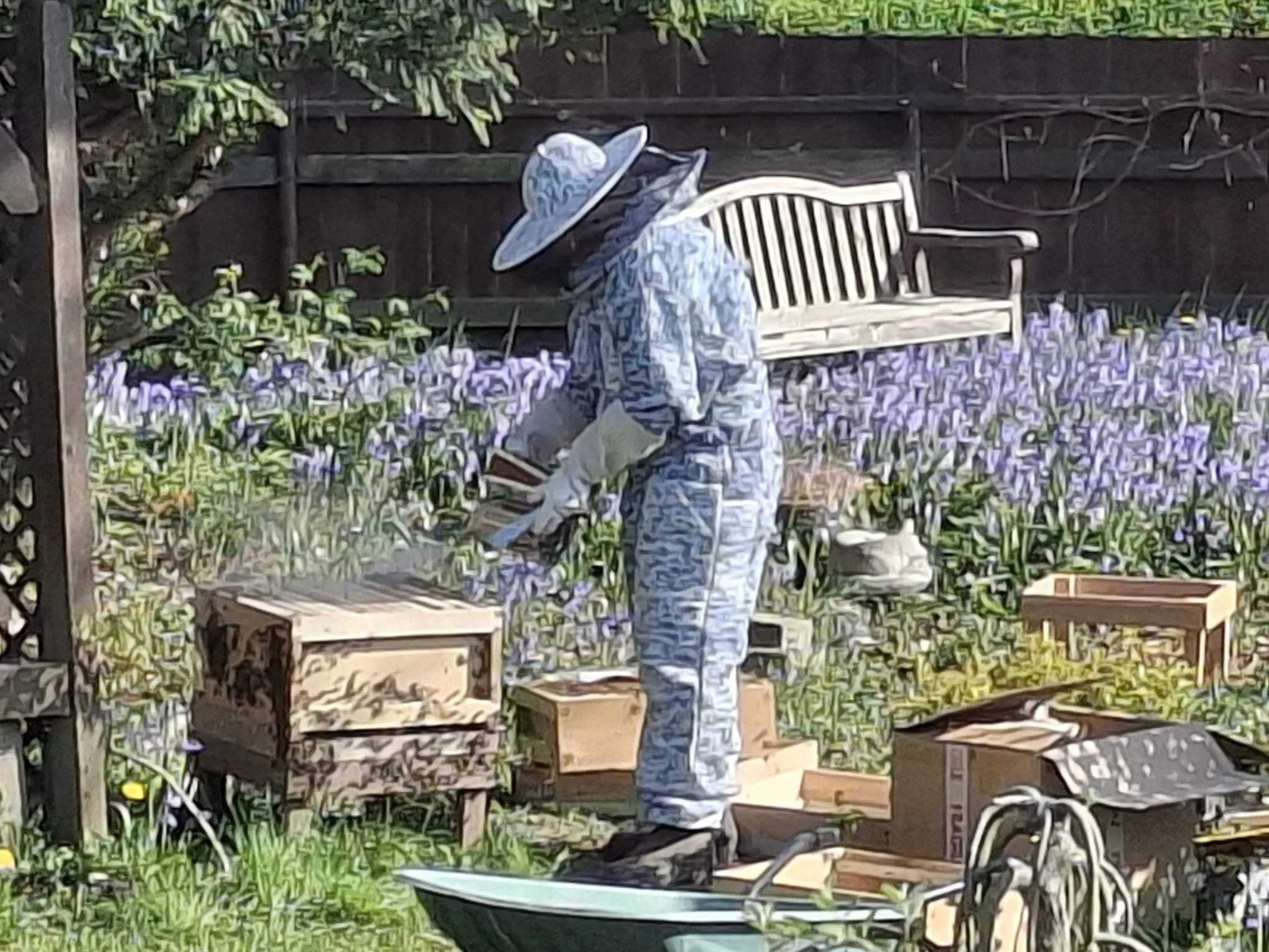 Person wearing a large sunhat, patterned shirt, and jeans working in a garden, surrounded by purple flowers, near a wooden fence and garden tools.