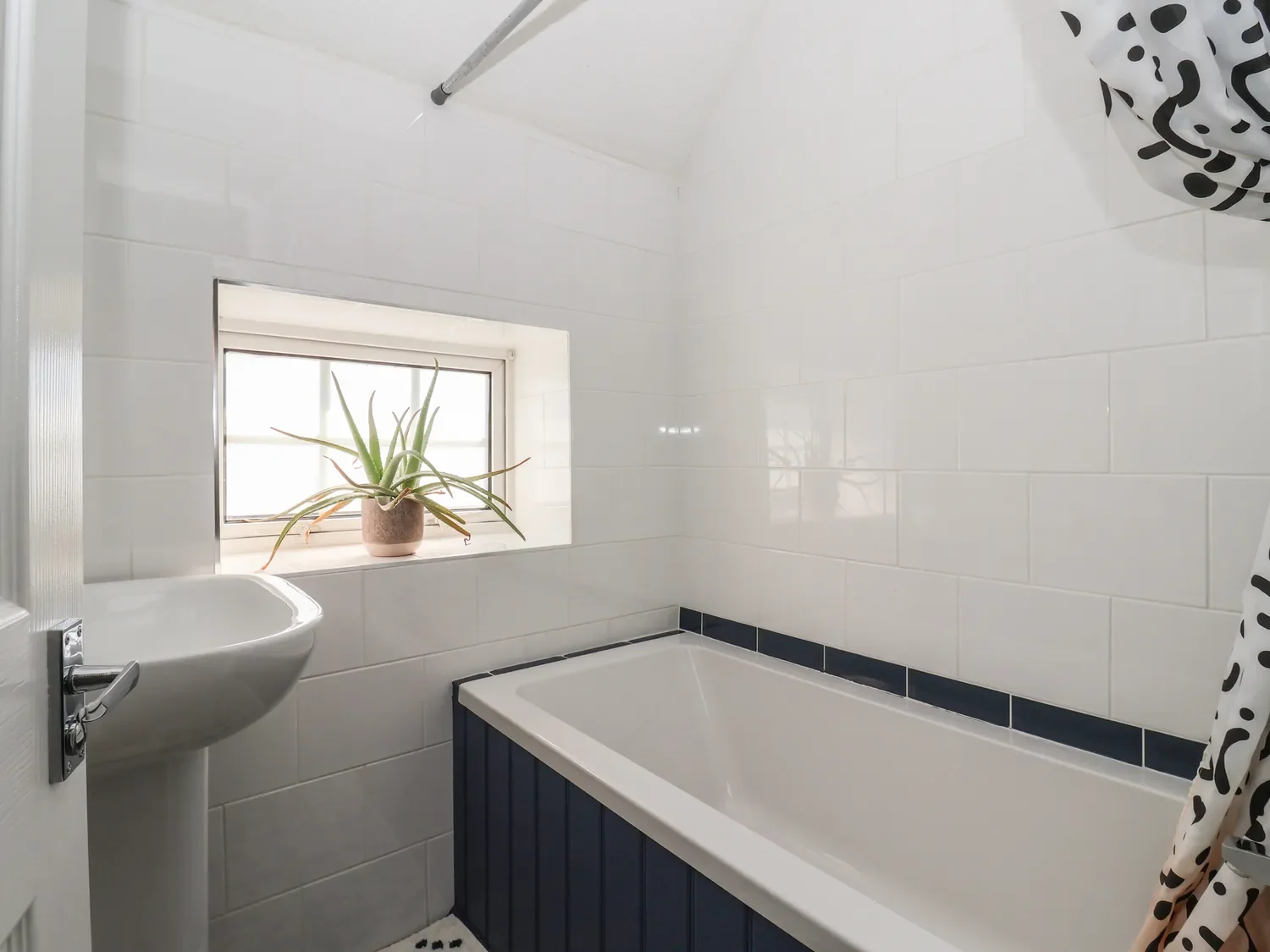 A bathroom with a small window, a potted plant, a bathtub with a navy blue panel, a white sink, and a black-and-white patterned shower curtain.