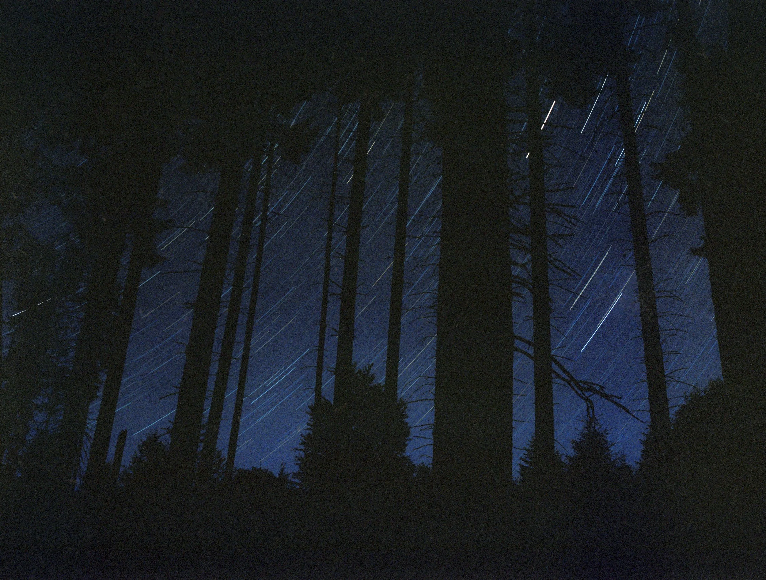 August 2021, Romania, Kodak Portra 400
