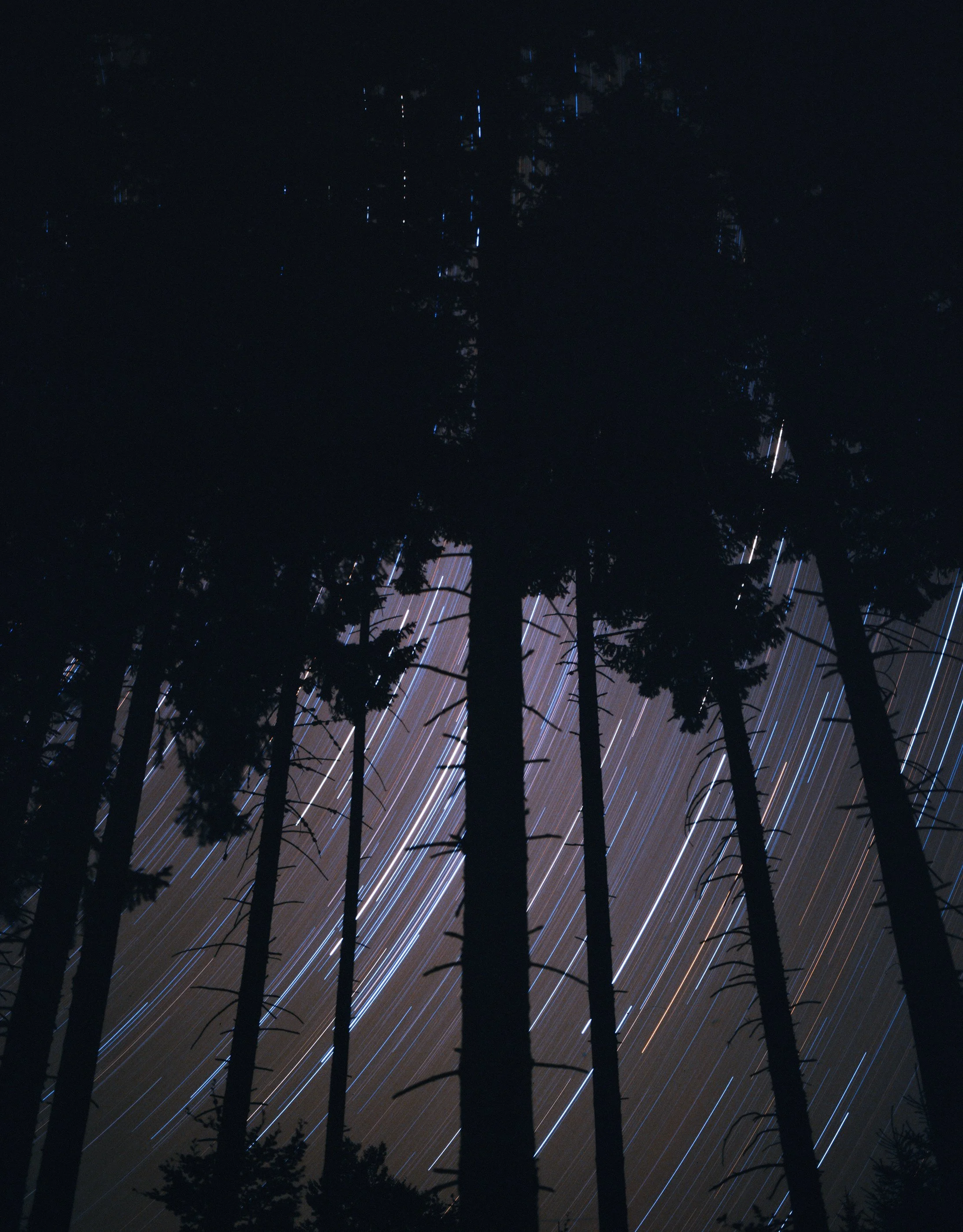 September 2024, Romania, Kodak Ektachrome