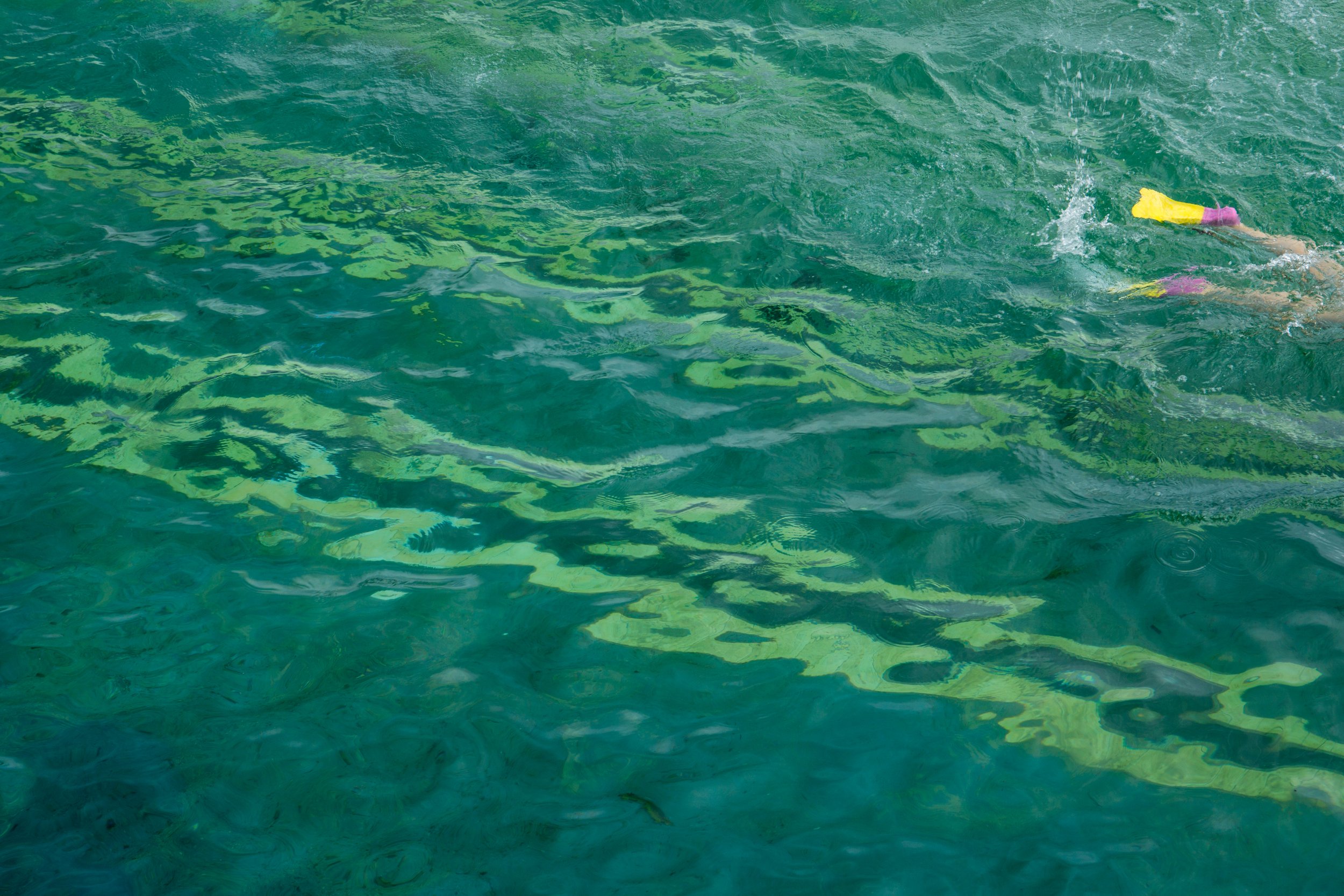 Fine art photograph by Kimberly Poppe of a person swimming in a body of water, wearing pink and yellow swim fins.