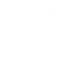 Sjøørret sørlandet