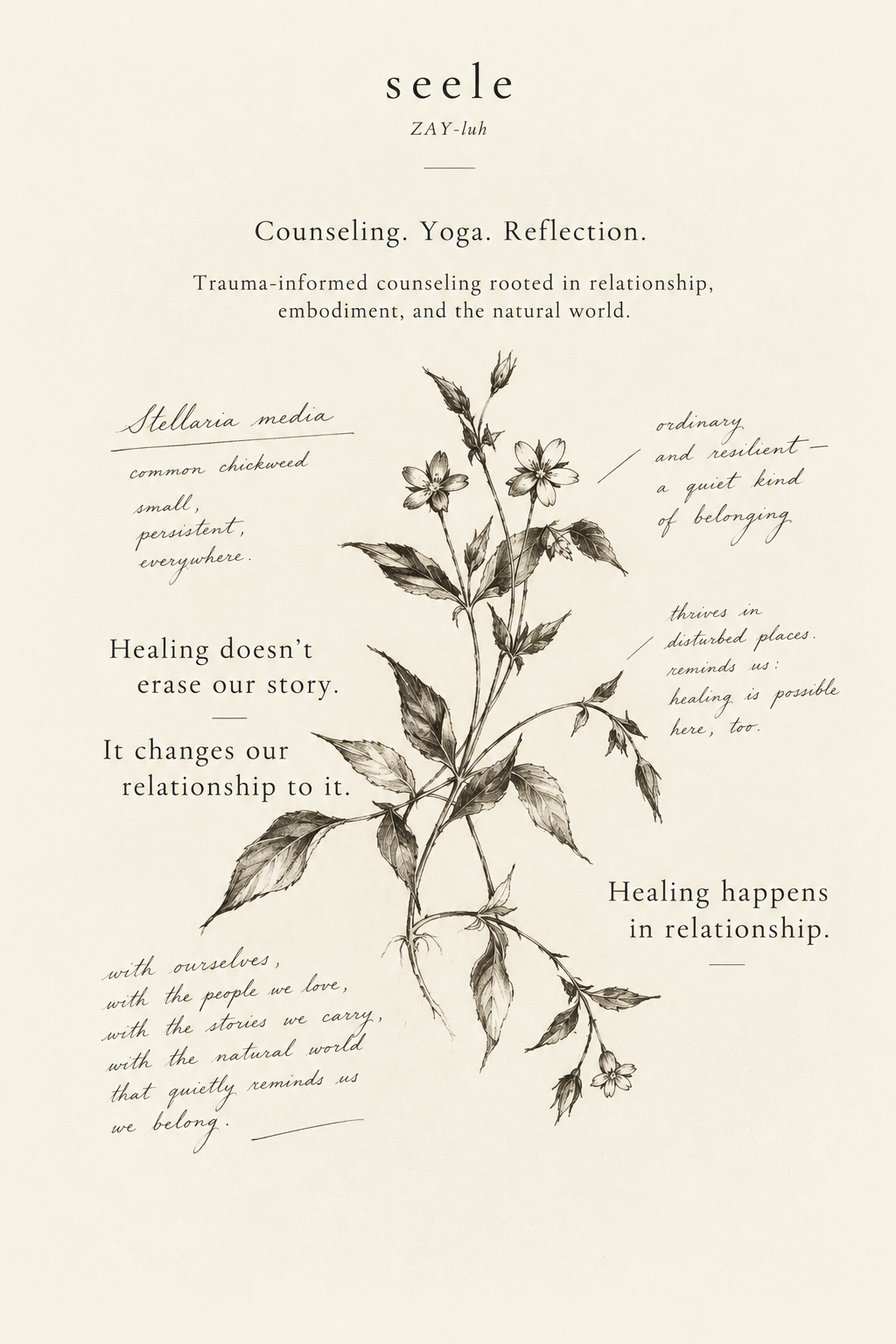Seele Collective counseling with Allison Gidusko, MS, LAPC, in Hanover, Pennsylvania.