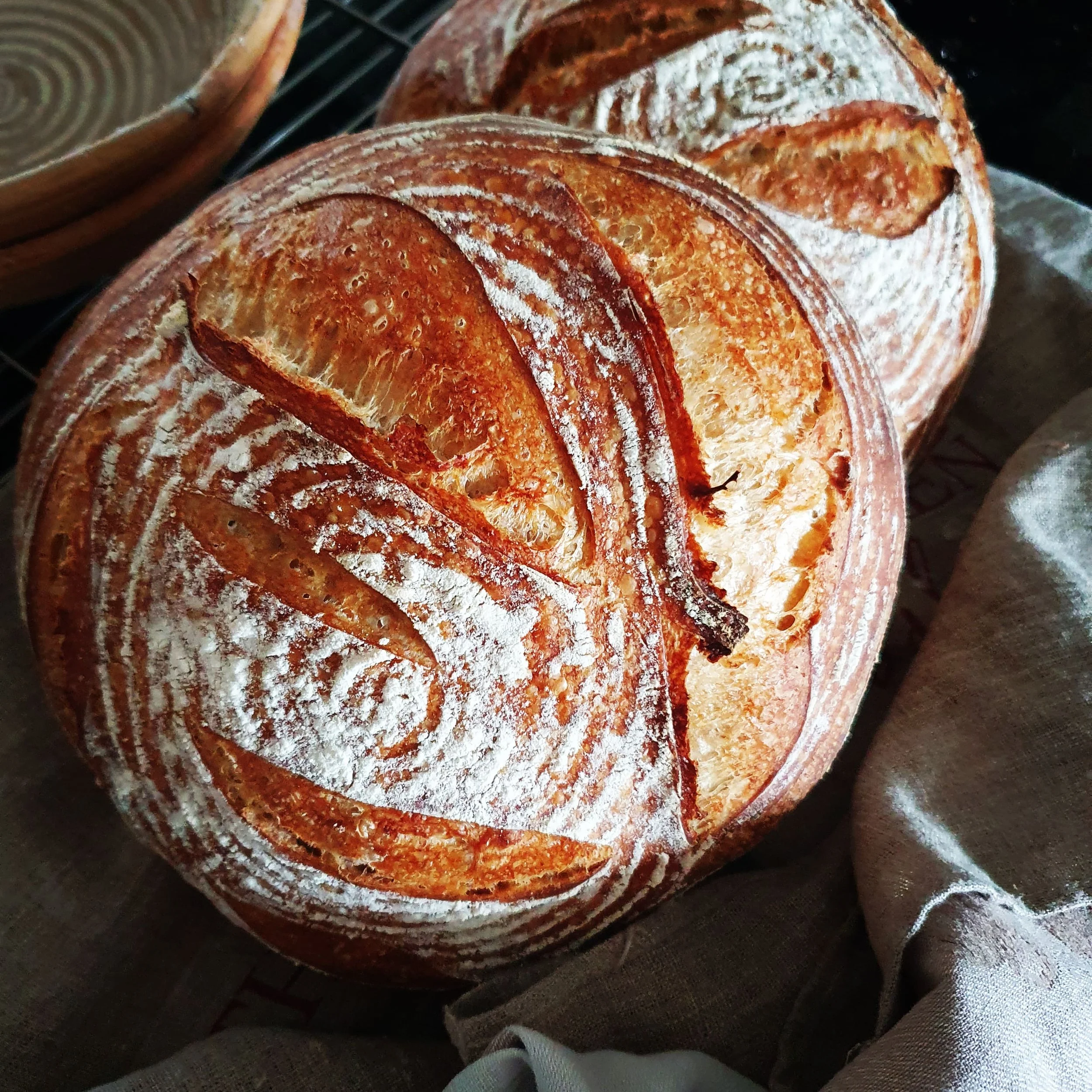 SOURDOUGH