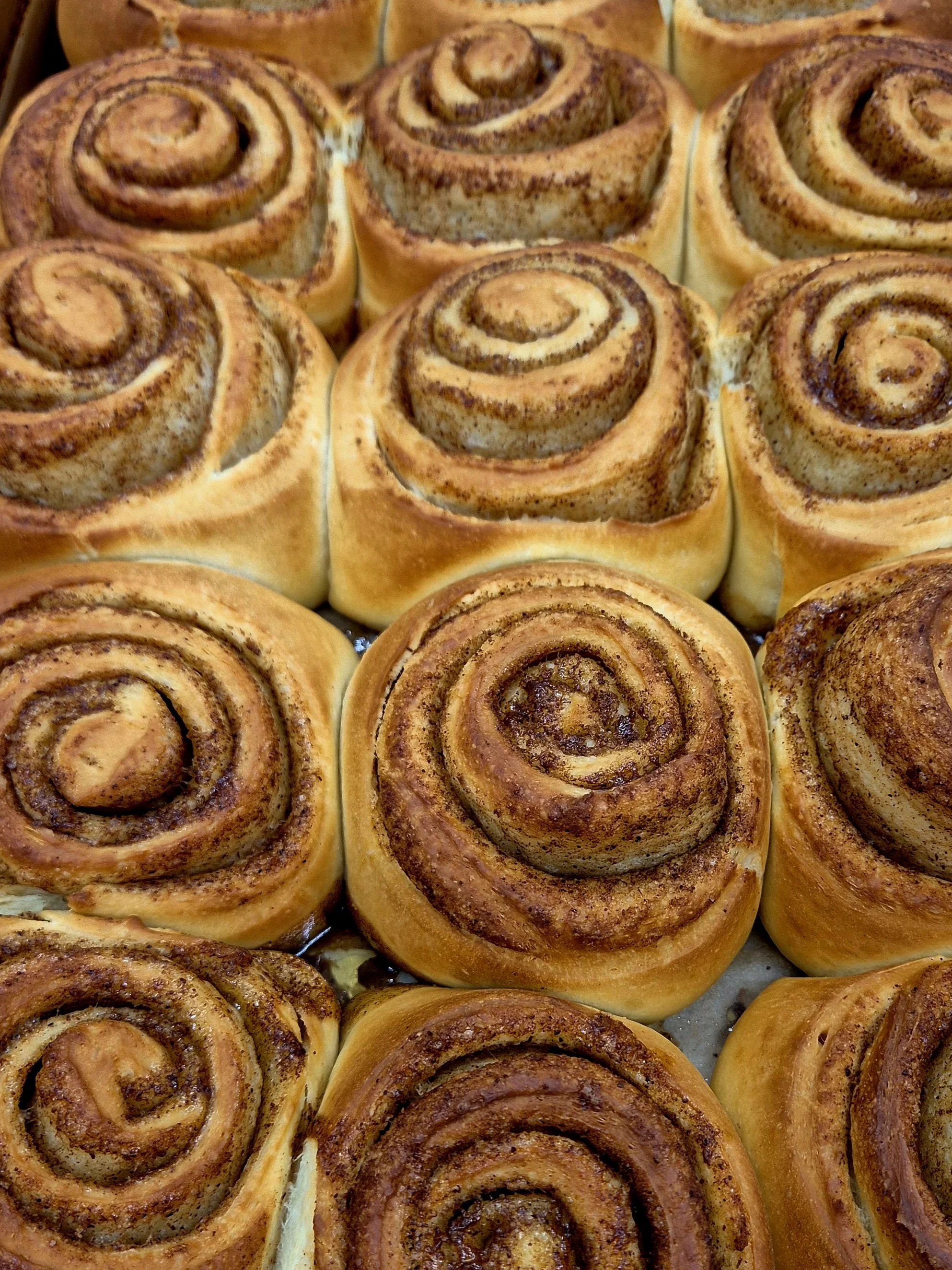 CINNAMON BUNS