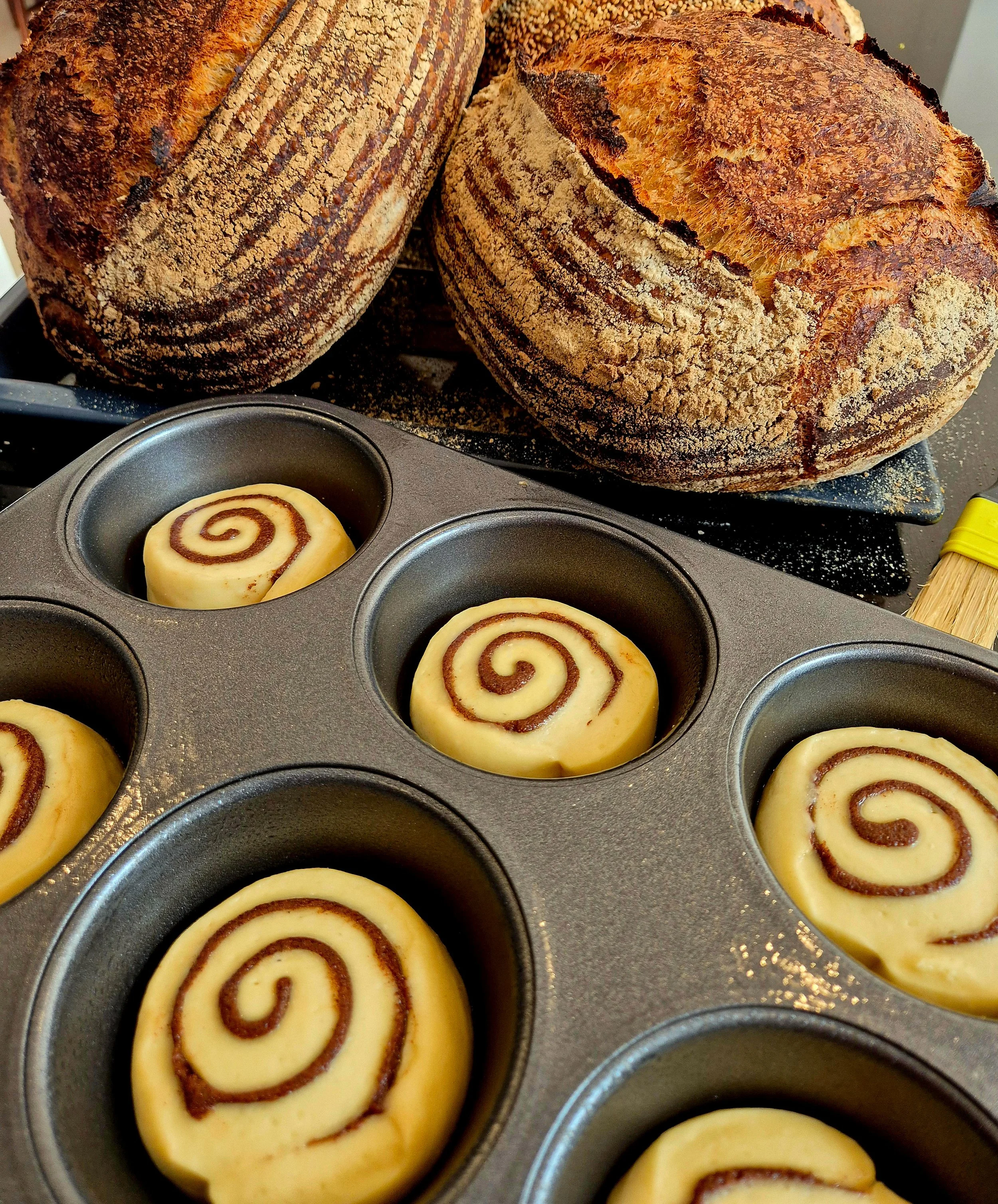 Close-up of cinnamon rolls in a muffin tin with a swirl pattern of cinnamon and sugar, alongside two large loaves of crusty bread with a rustic appearance.