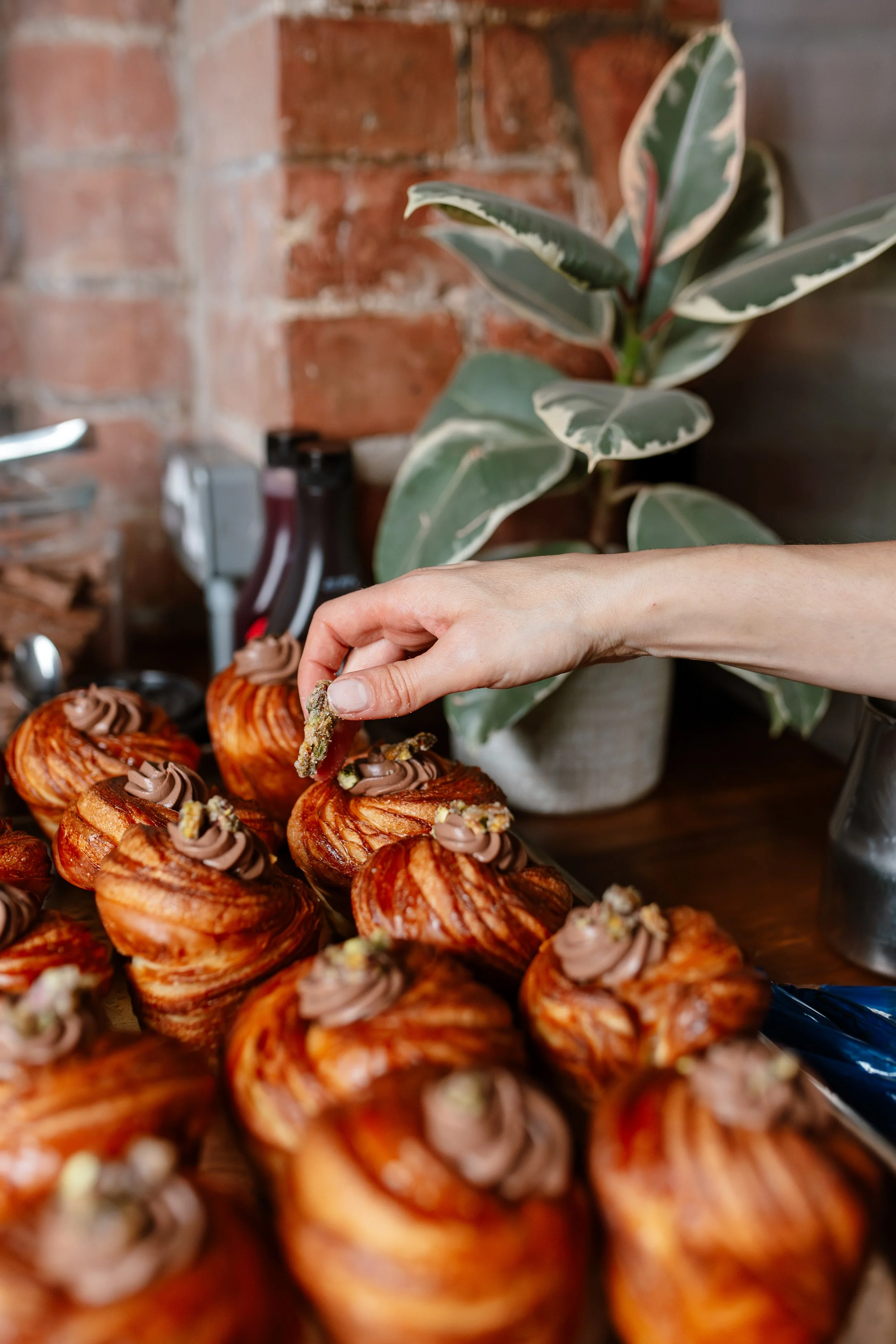 A hand is placing a garnish on a tray of puff pastries topped with chocolate frosting and crushed nuts, with a plant and kitchen items in the background.