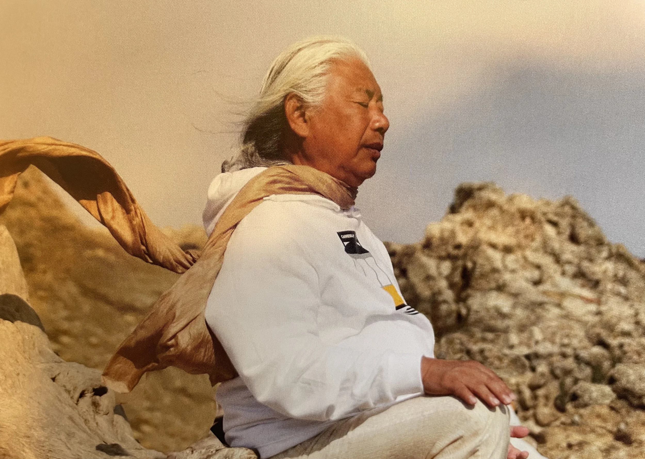 Sifu mediterar med scarf.jpg