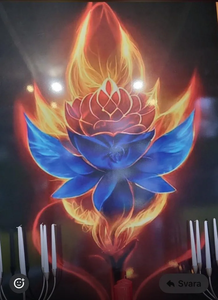 eldlotus.jpeg