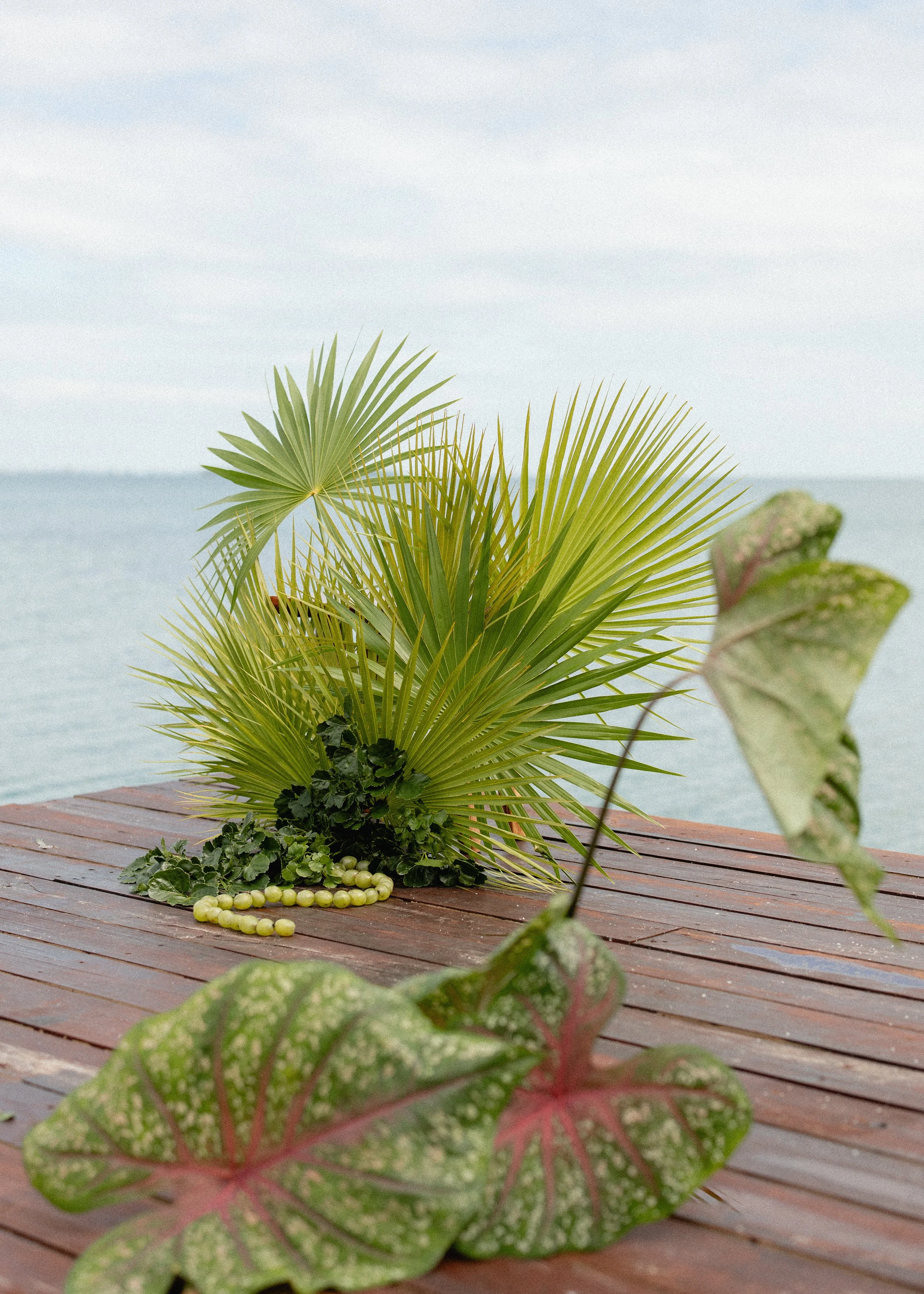 BlueReefWeddings_LottieTopping-93.jpg